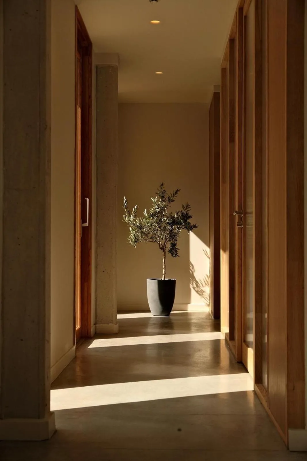 Decorative detail in La Maison Gaïa Hôtel & Spa