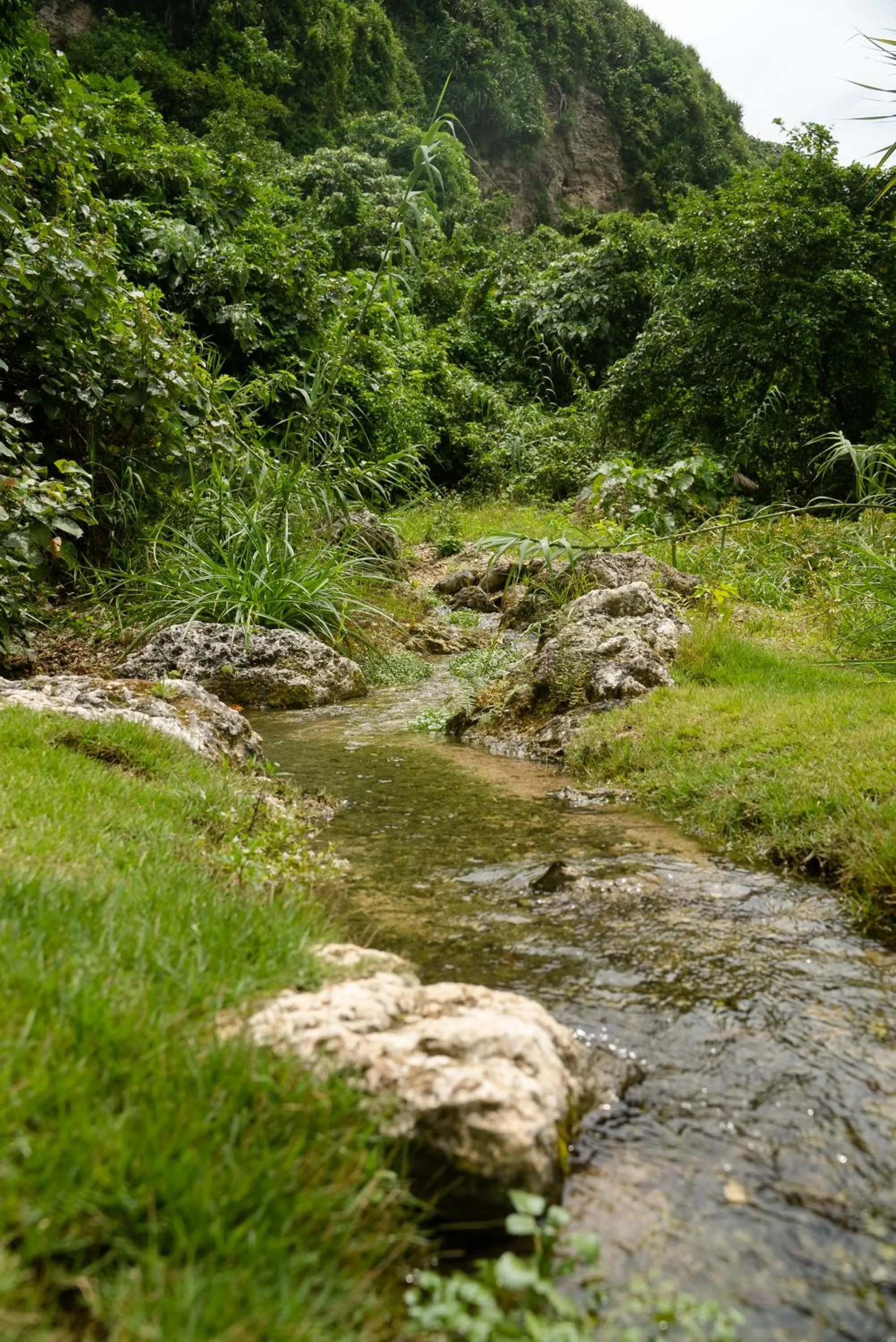 Property building in THE PANALI