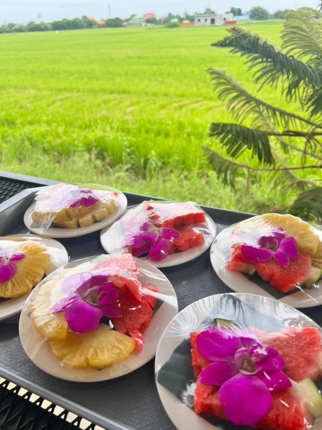 Food and drinks in Penguin Villa Resort & Bistro