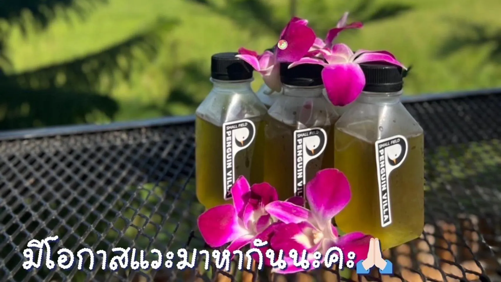 Drinks in Penguin Villa Resort & Bistro