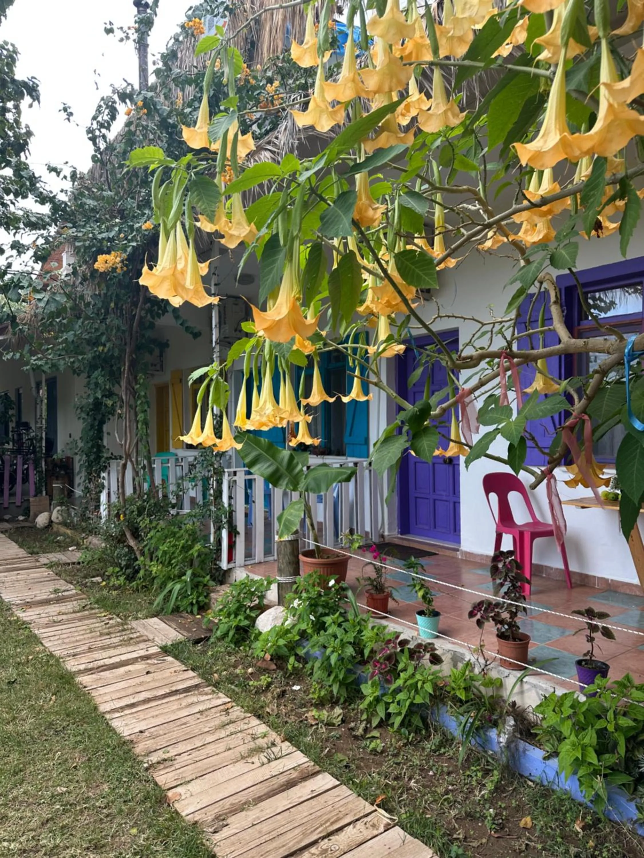 Day in GAYA PANSİYON ÇIRALI