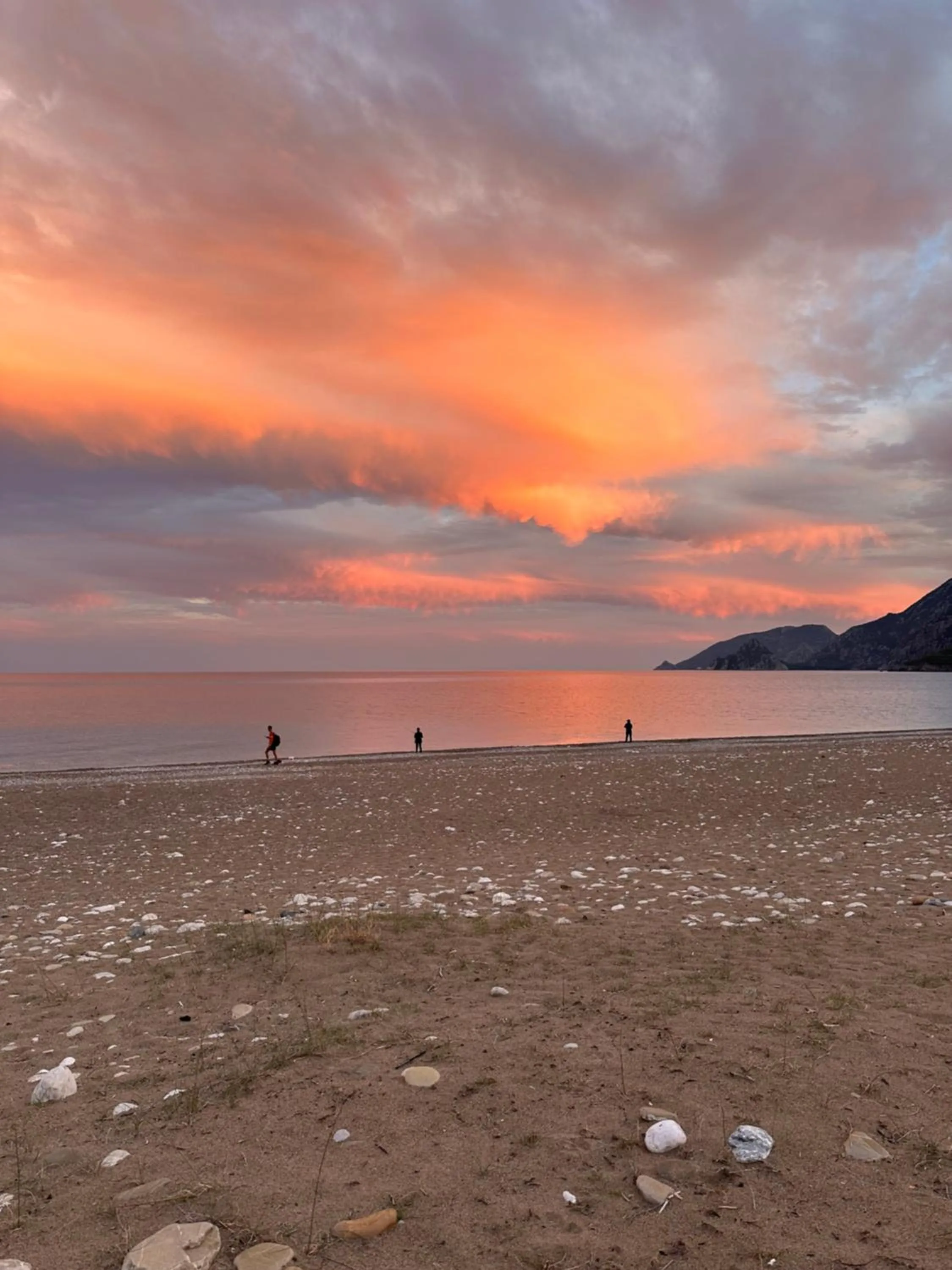 Day in GAYA PANSİYON ÇIRALI