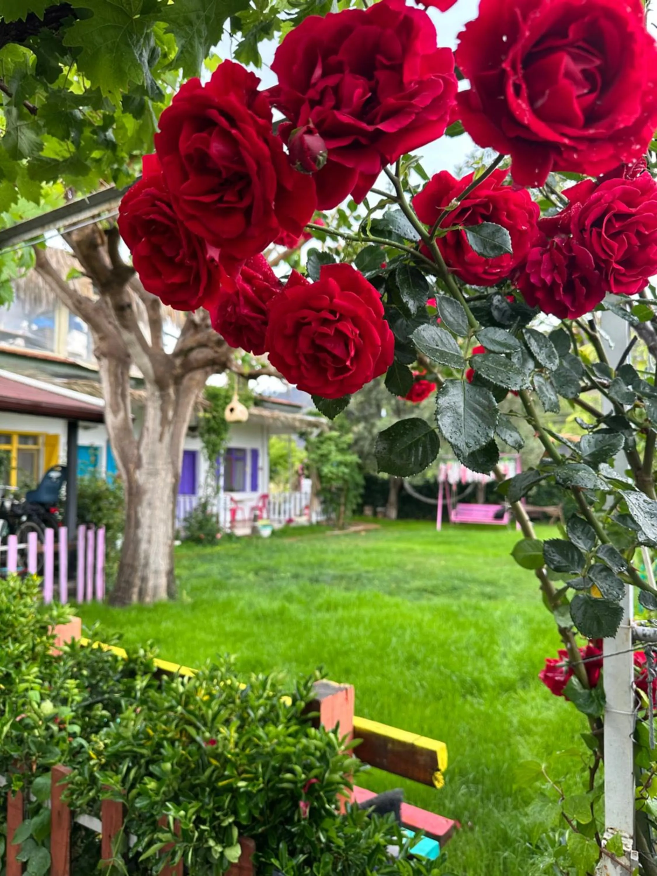 GAYA PANSİYON ÇIRALI