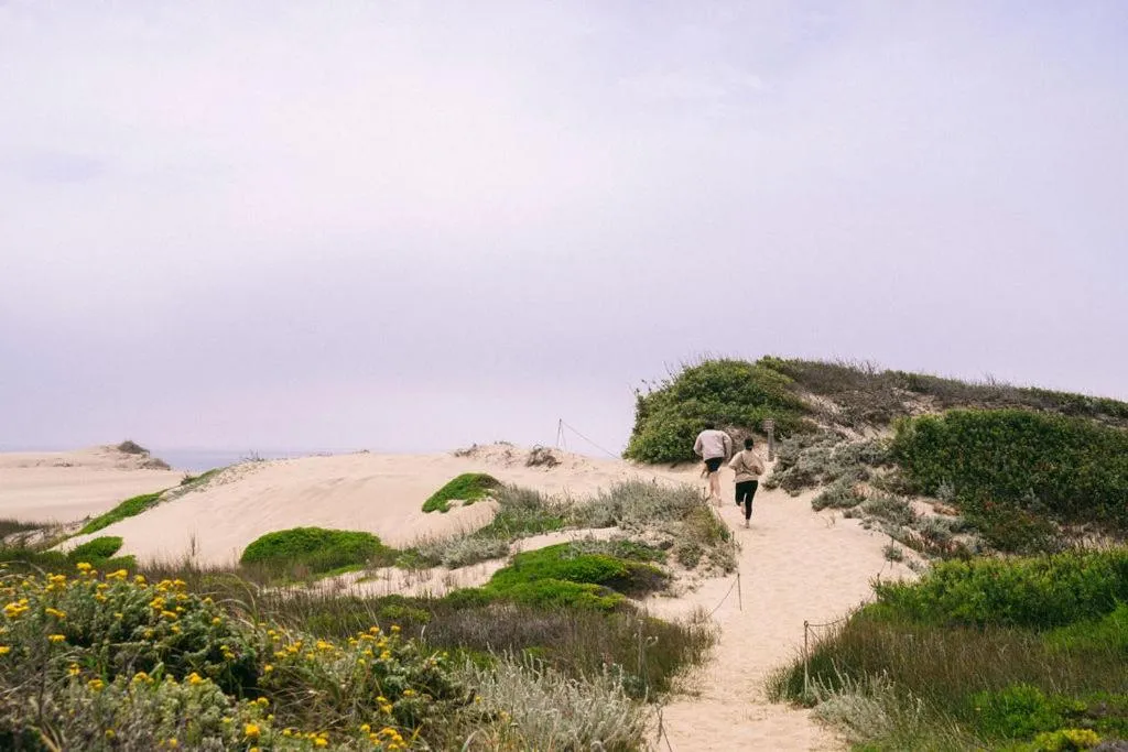 Natural landscape in Costanoa