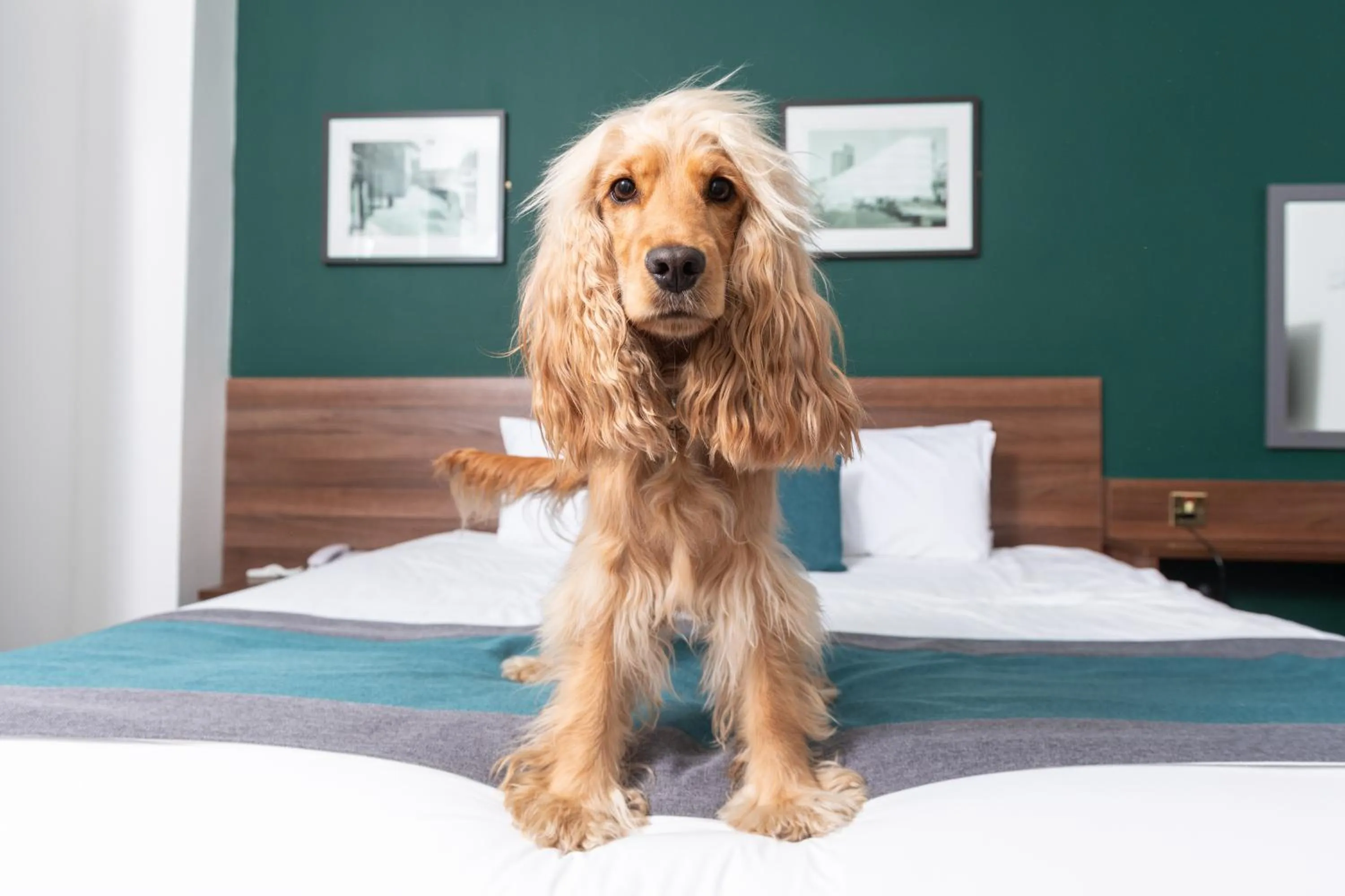 Bed in Castlefield Hotel