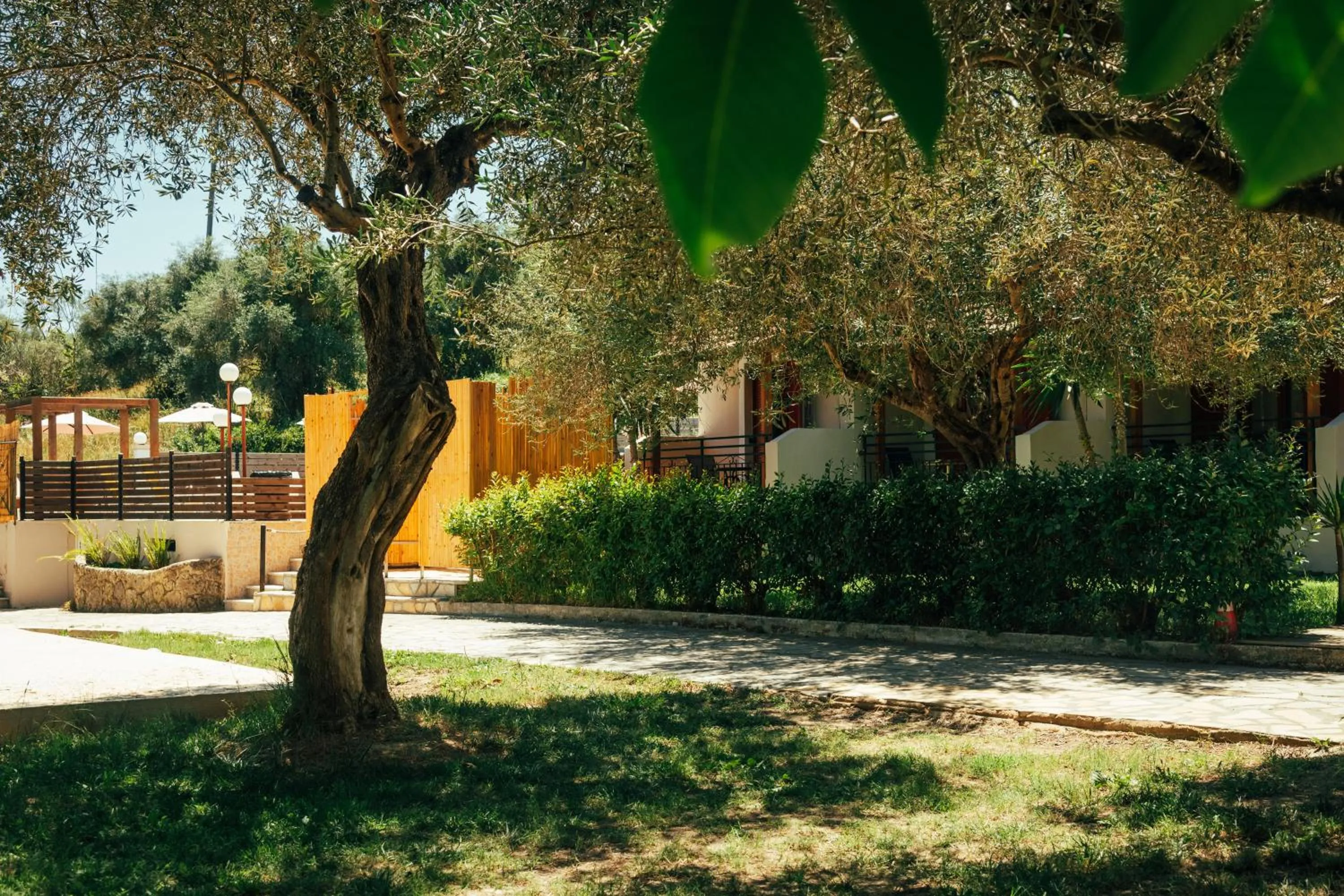 Natural landscape in Calypso Resort Kavos