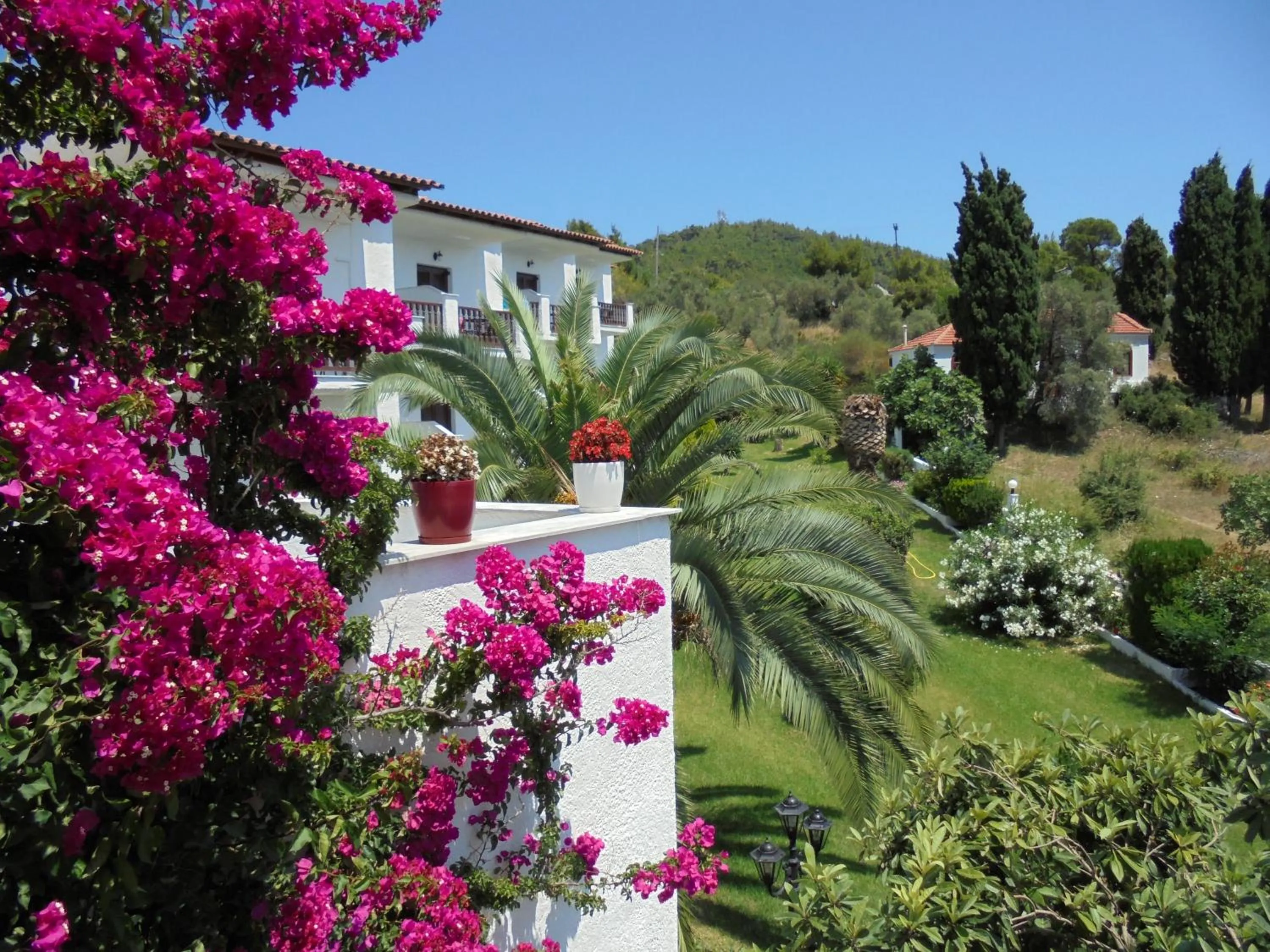 Garden in Hotel Paradise