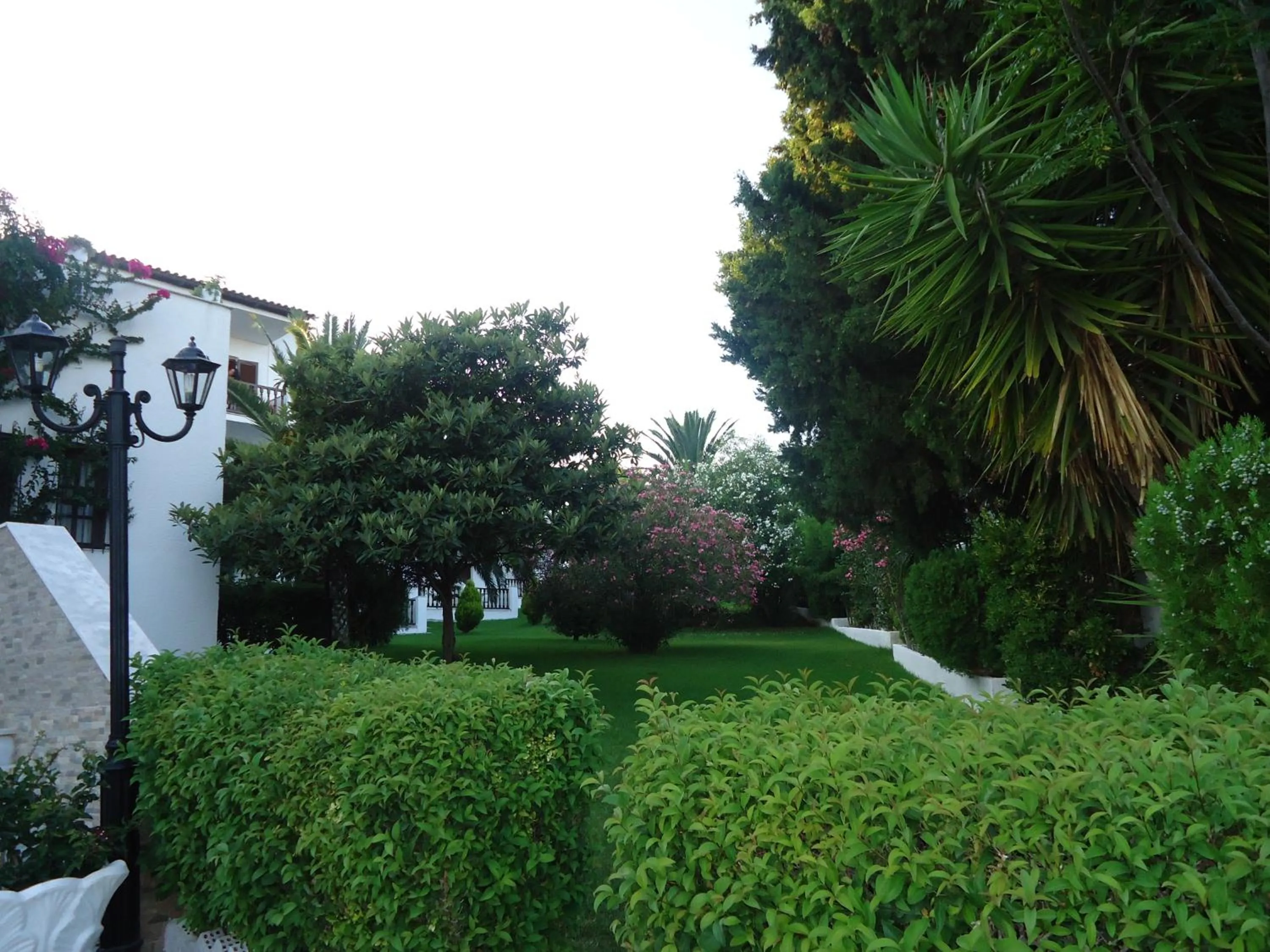 Garden in Hotel Paradise