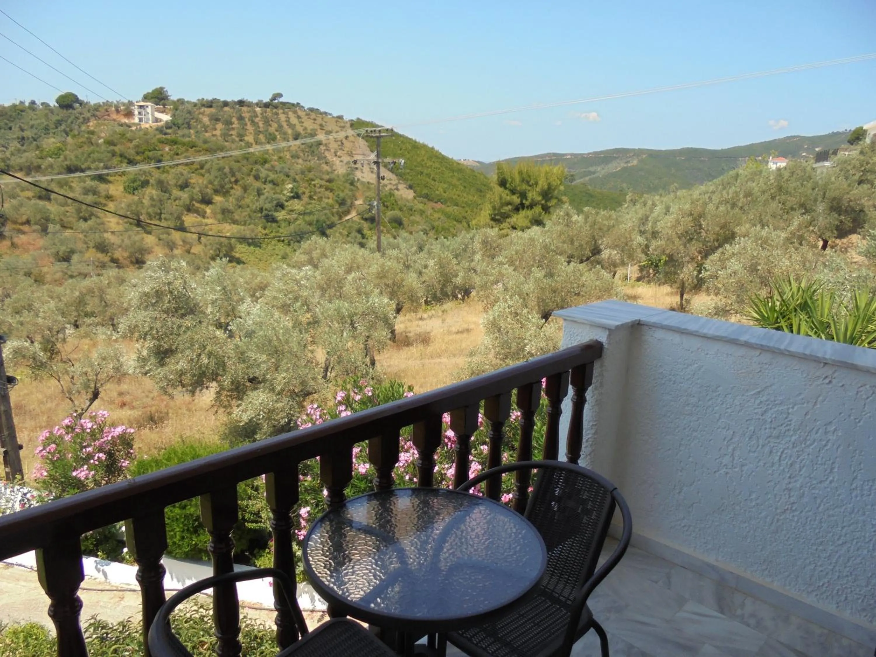 Garden view in Hotel Paradise