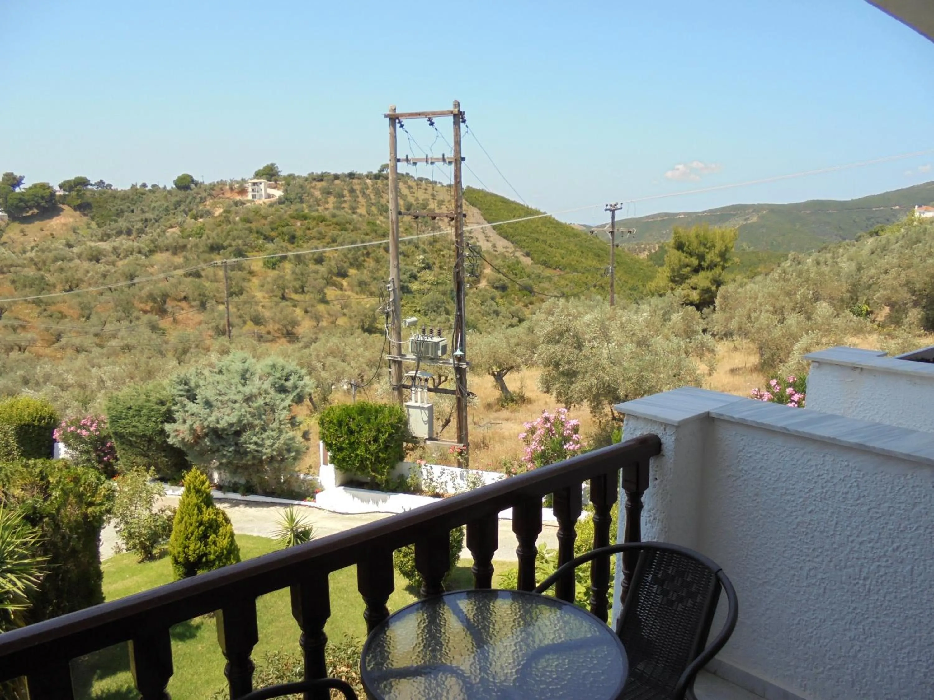Garden view in Hotel Paradise