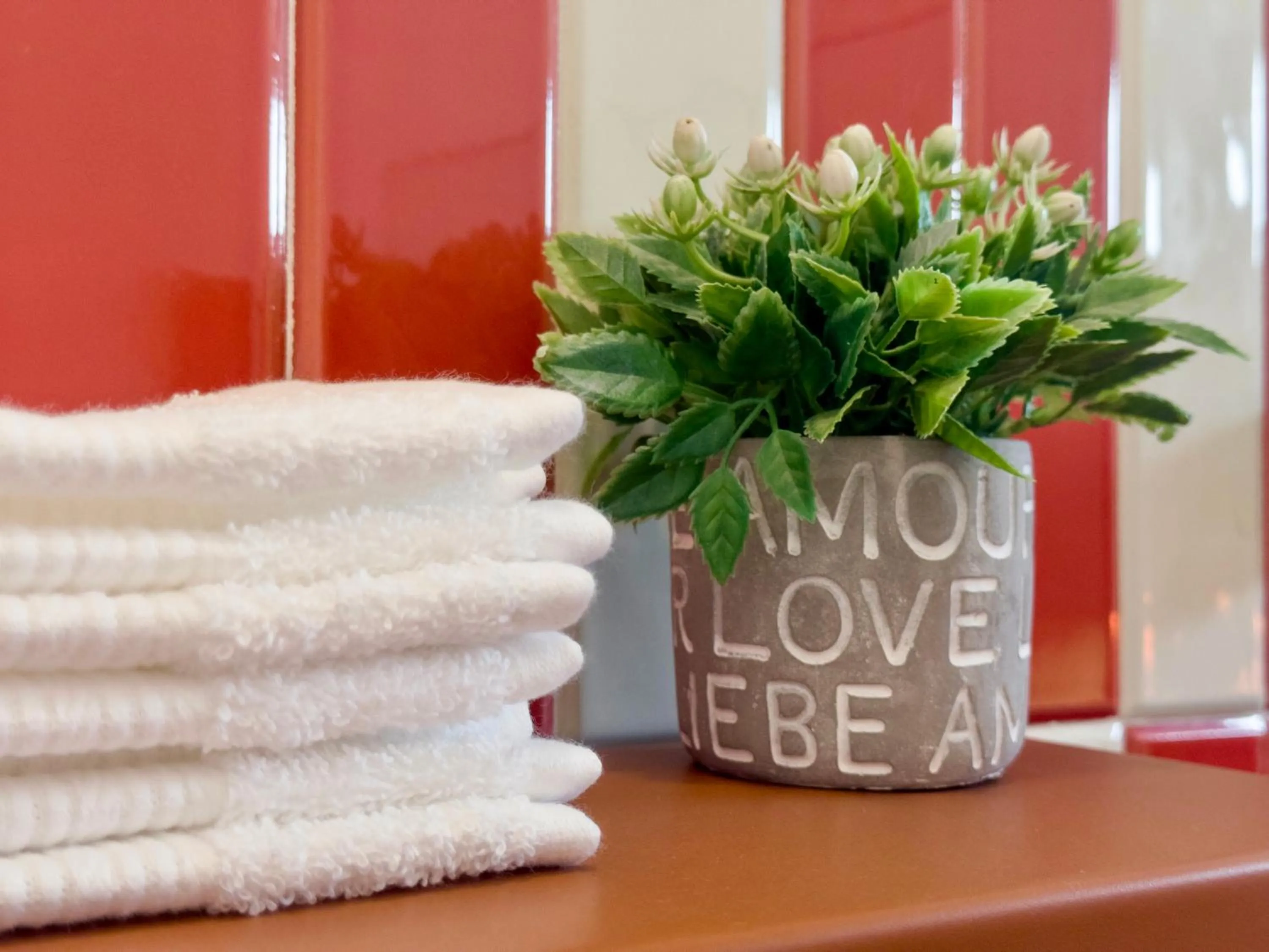 Quinta Lolita - La Paz Baja California Sur