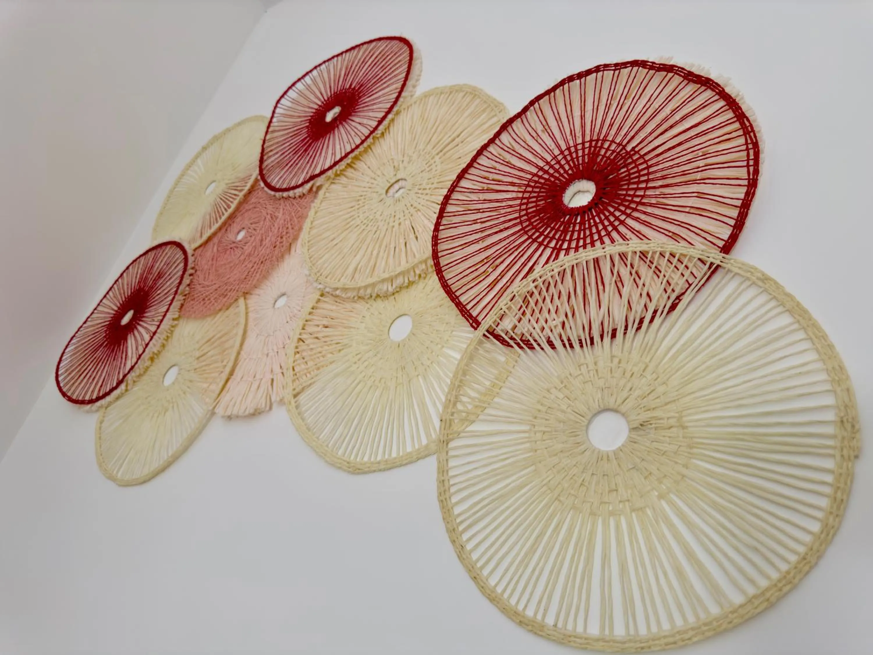 Quinta Lolita - La Paz Baja California Sur