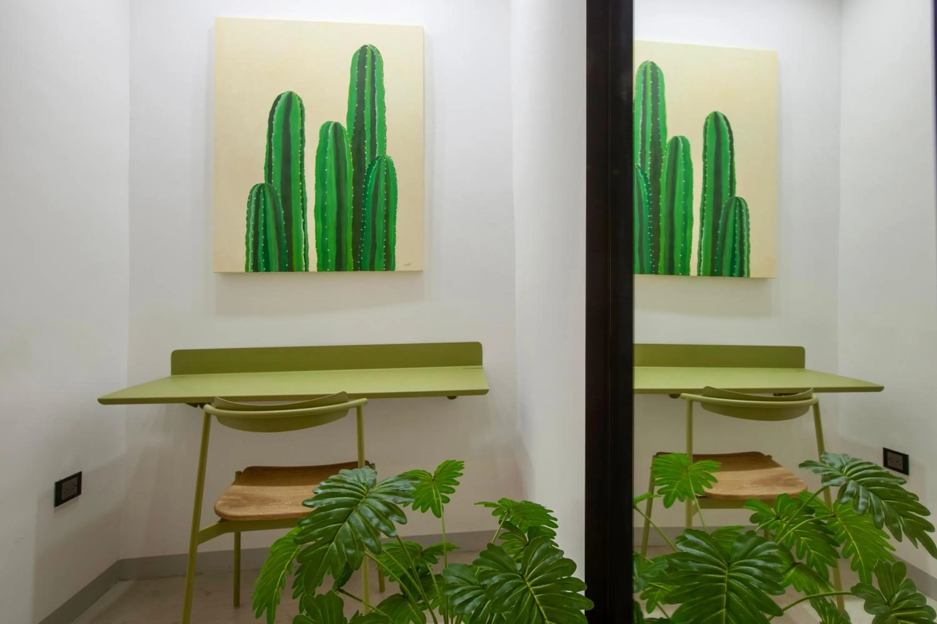 Quinta Lolita - La Paz Baja California Sur