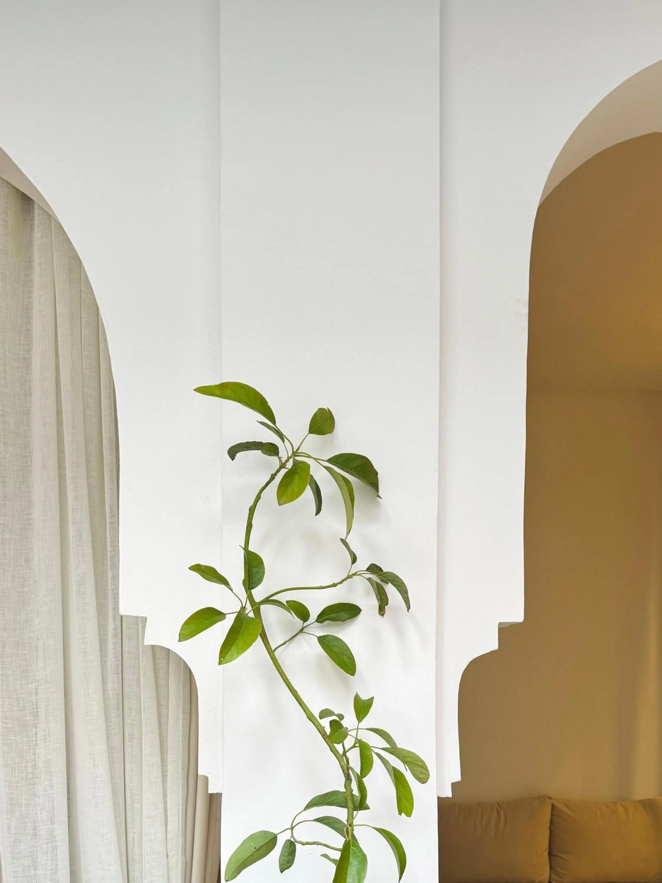 Riad El Khaeir - Piscine, Hamam & Spa