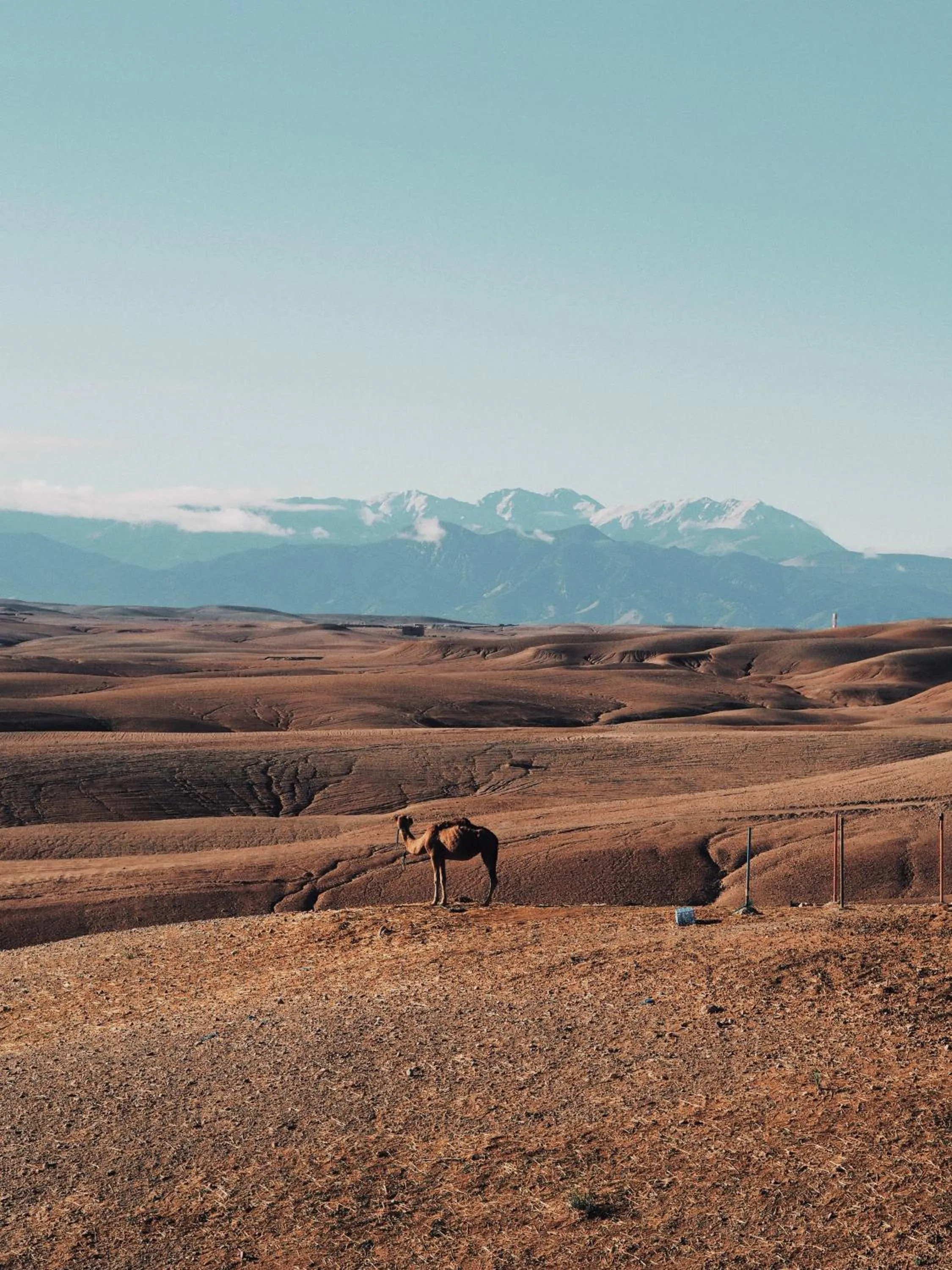 Mountain view in Riad El Khaeir - Piscine, Hamam & Spa