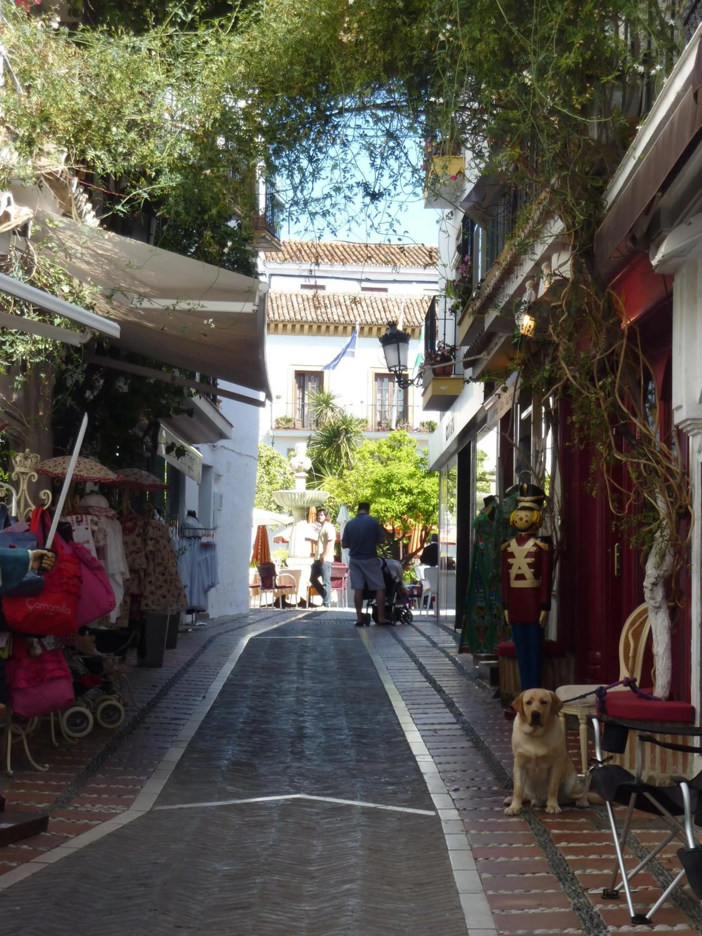 Area and facilities in Hostal Berlin