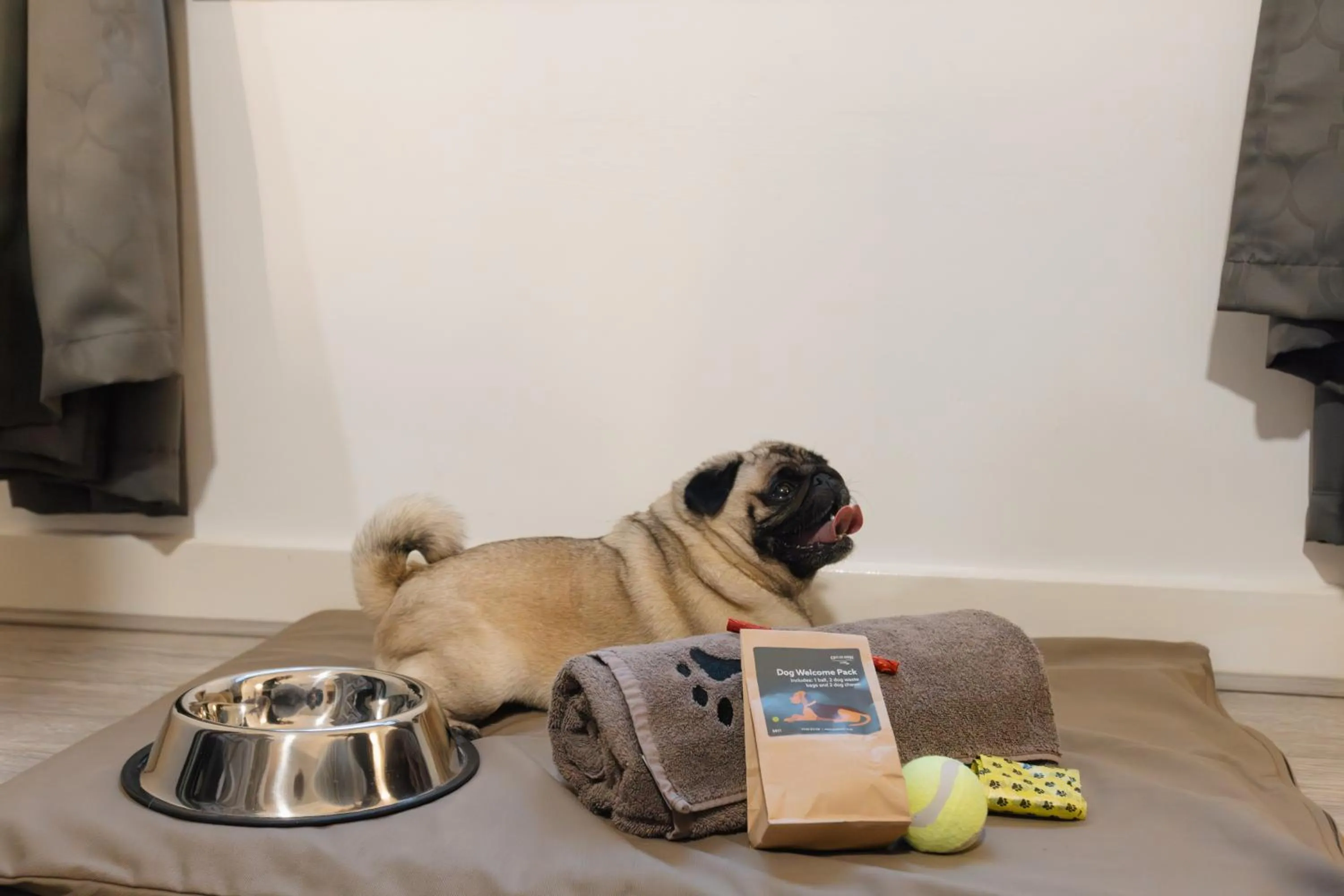 Pets in Durrant House Hotel