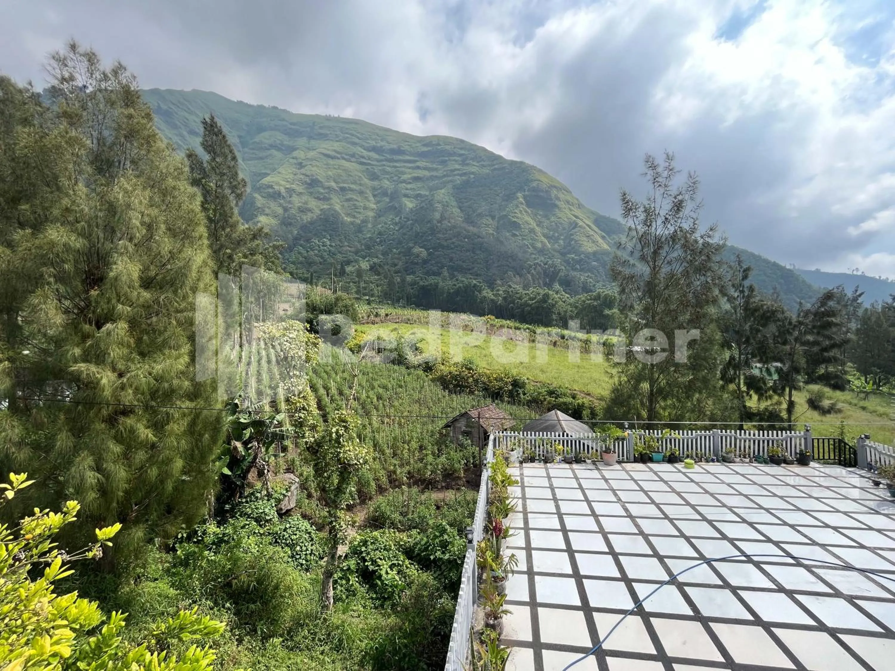 Mountain view in Family Homestay Syariah Bromo Mitra RedDoorz