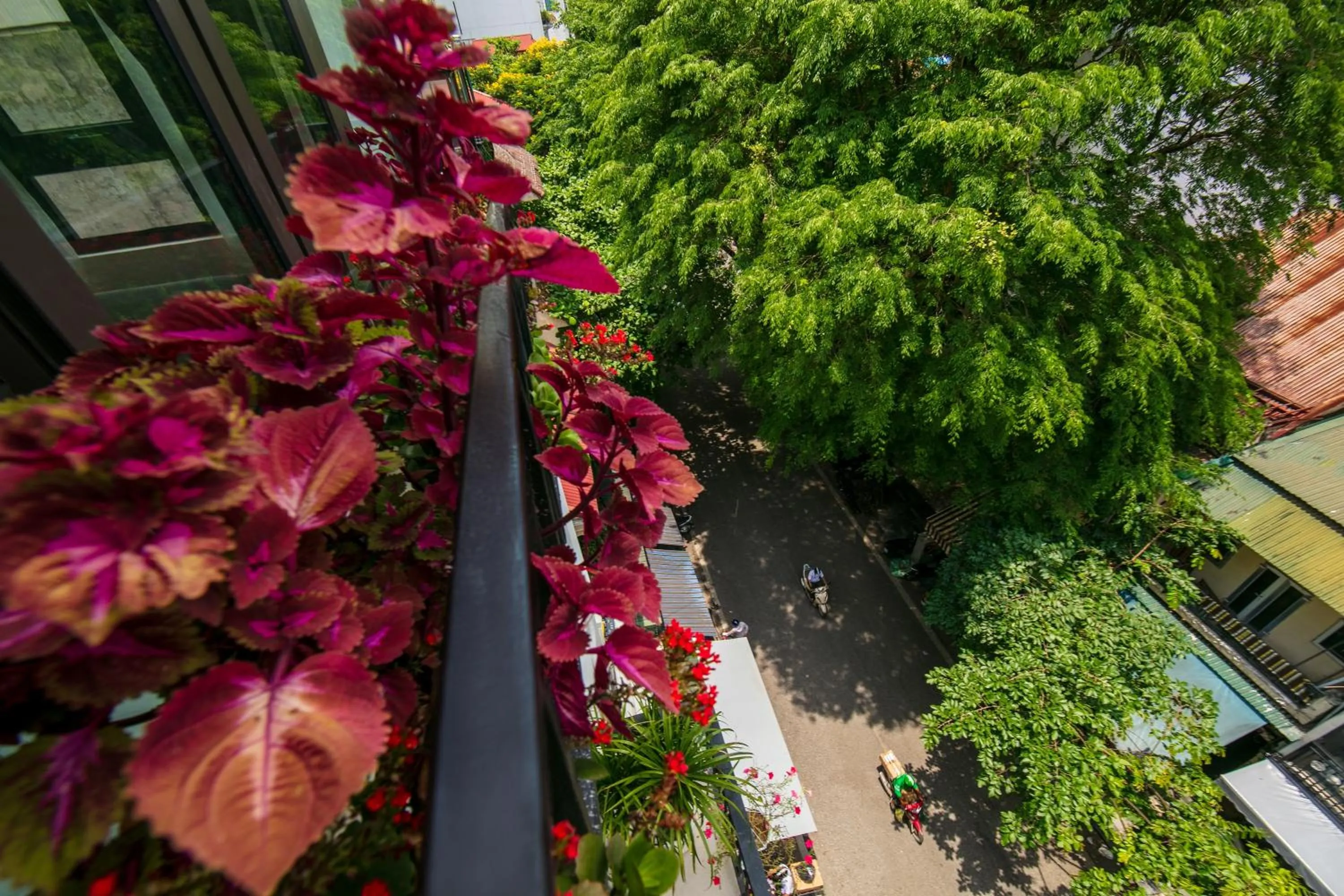 Day in TrangTrang Luxury Hotel