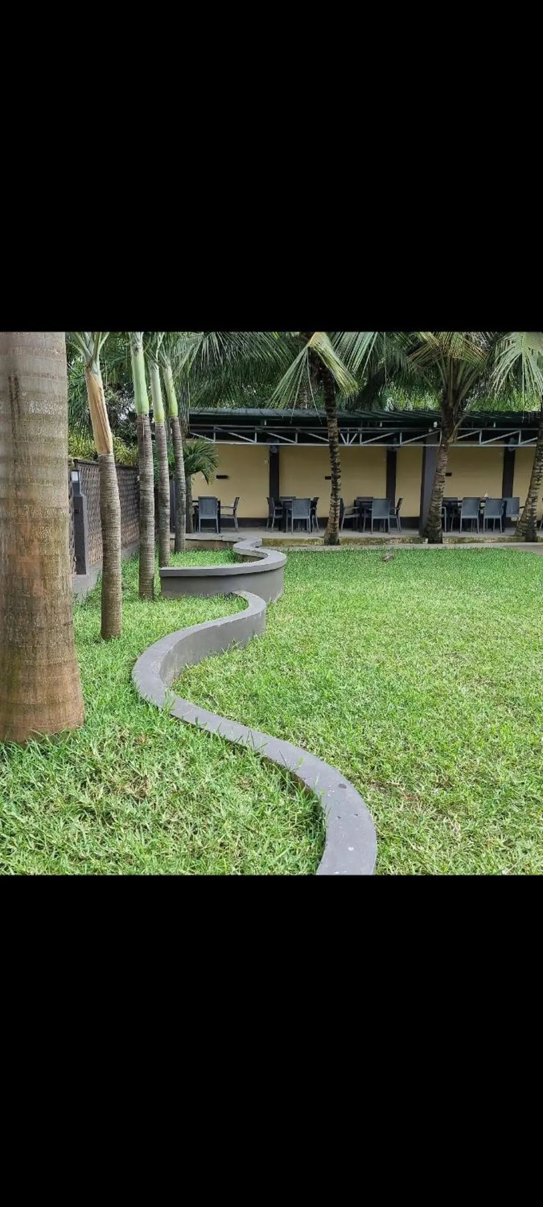 Garden in Momo's Hotel