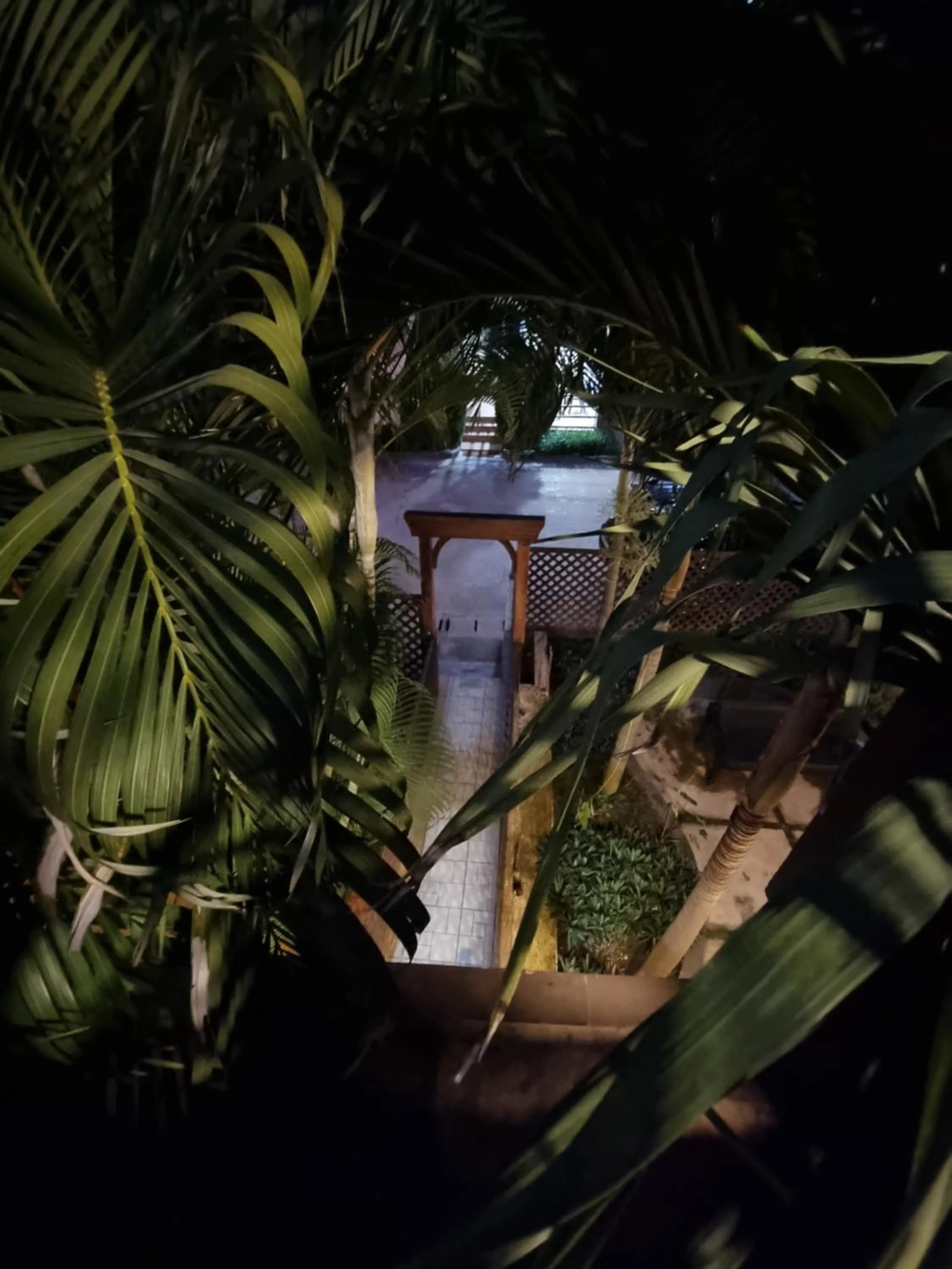 Garden view in Momo's Hotel