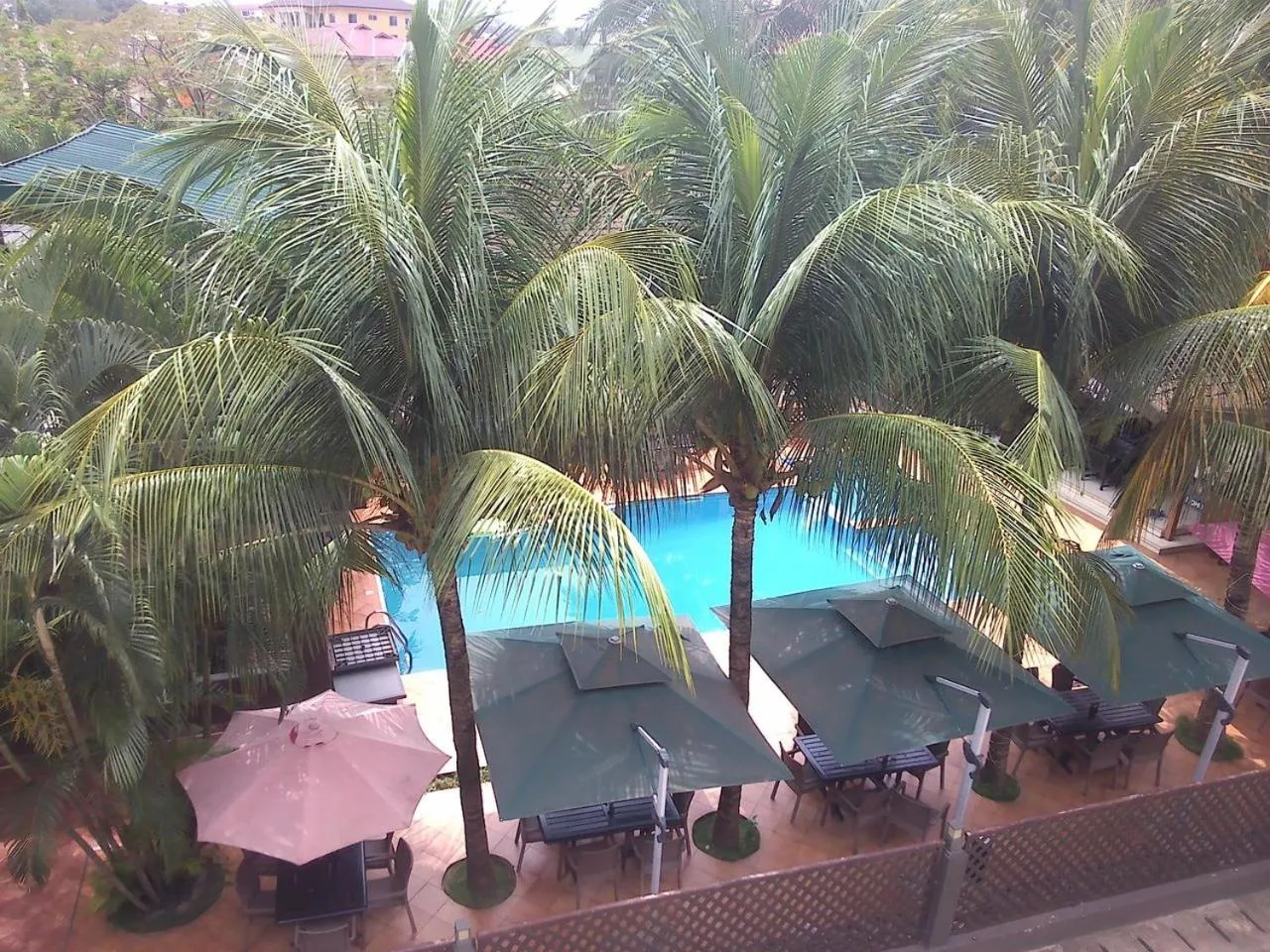 Pool view in Momo's Hotel