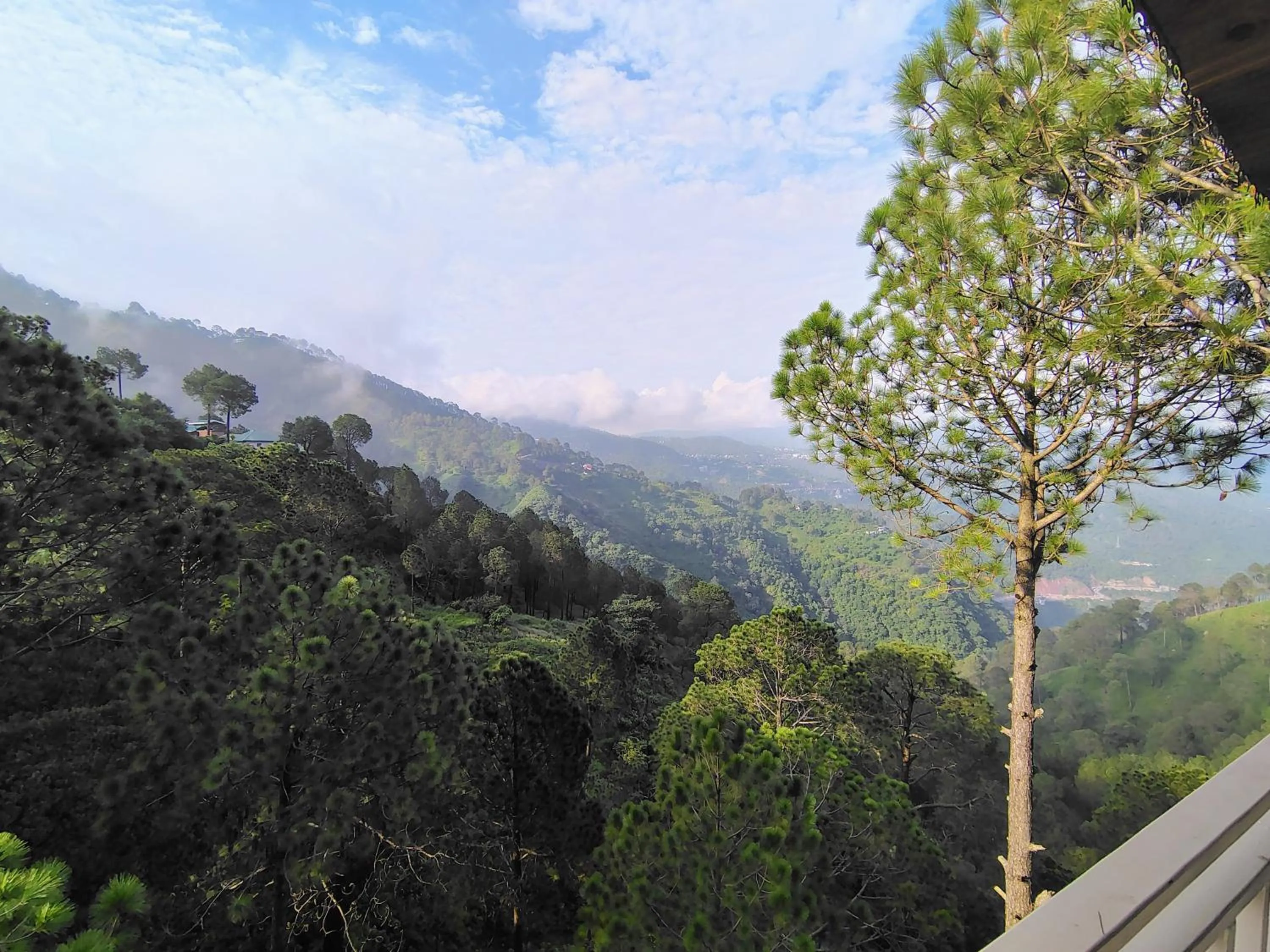 Mountain view in Pihu's Nest Kasauli