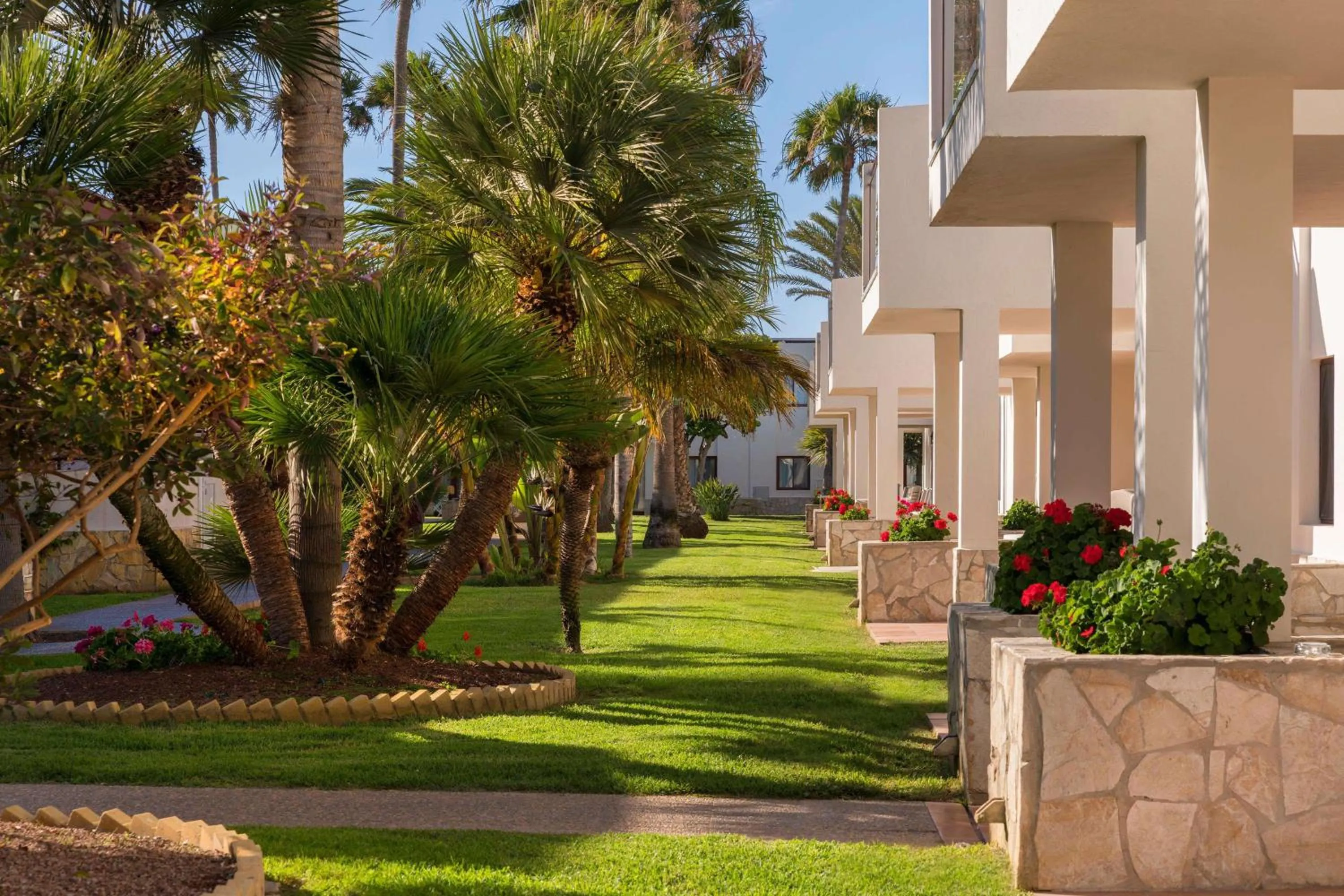 Garden in Alua Suites Fuerteventura - All Inclusive