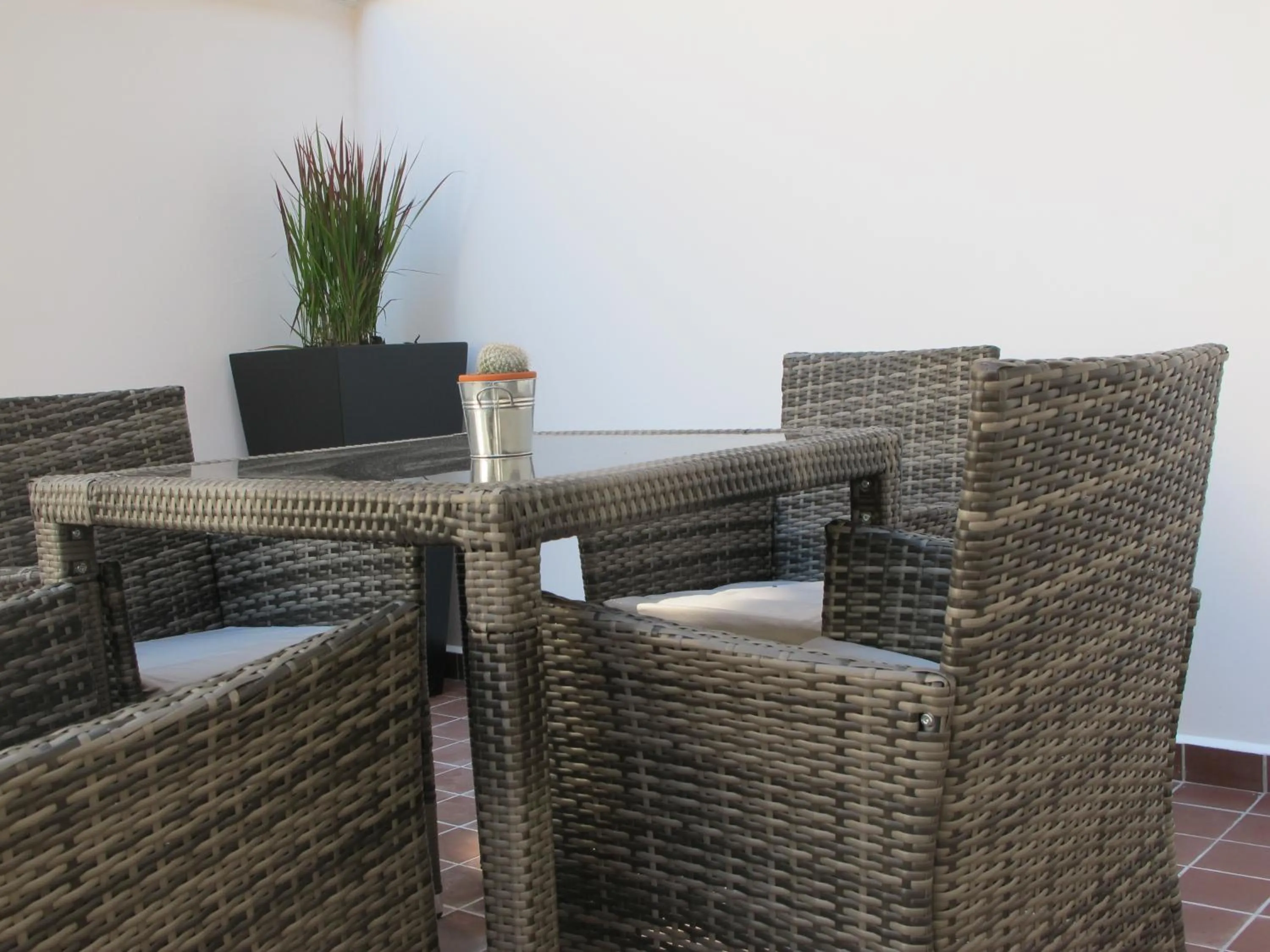 Garden in Alhambra Hotel