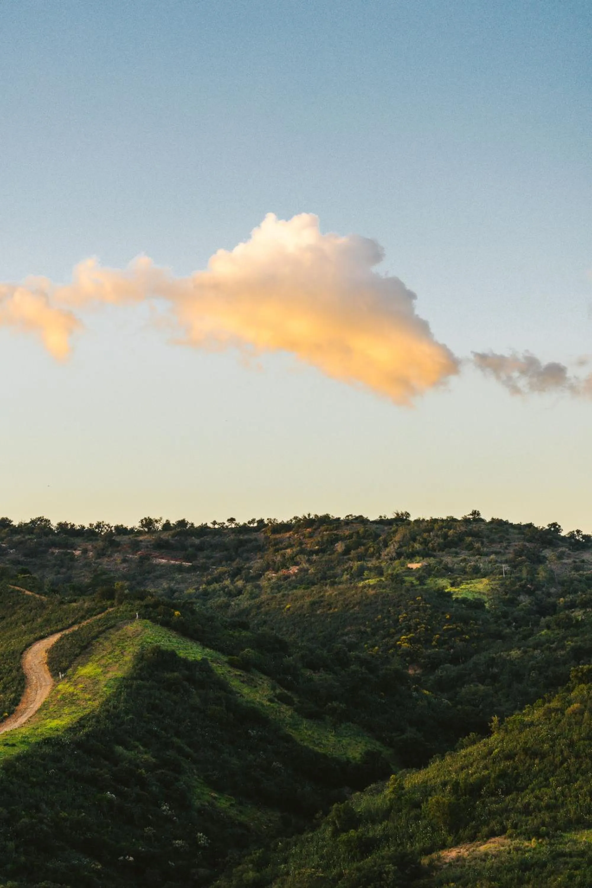 Natural landscape in Viceroy at Ombria Algarve
