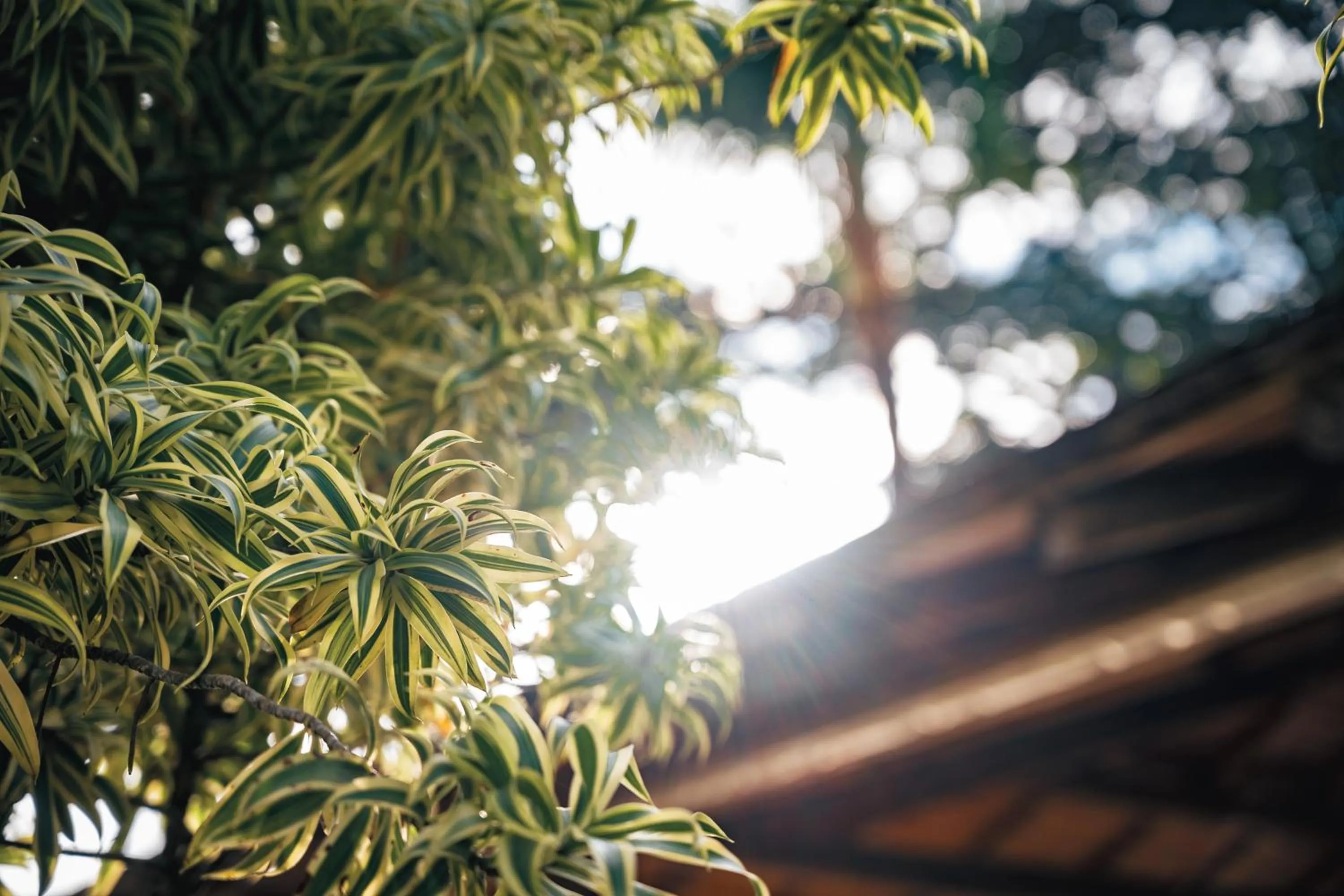 Ayla Arraial Pousada de Charme - Arraial D'Ajuda