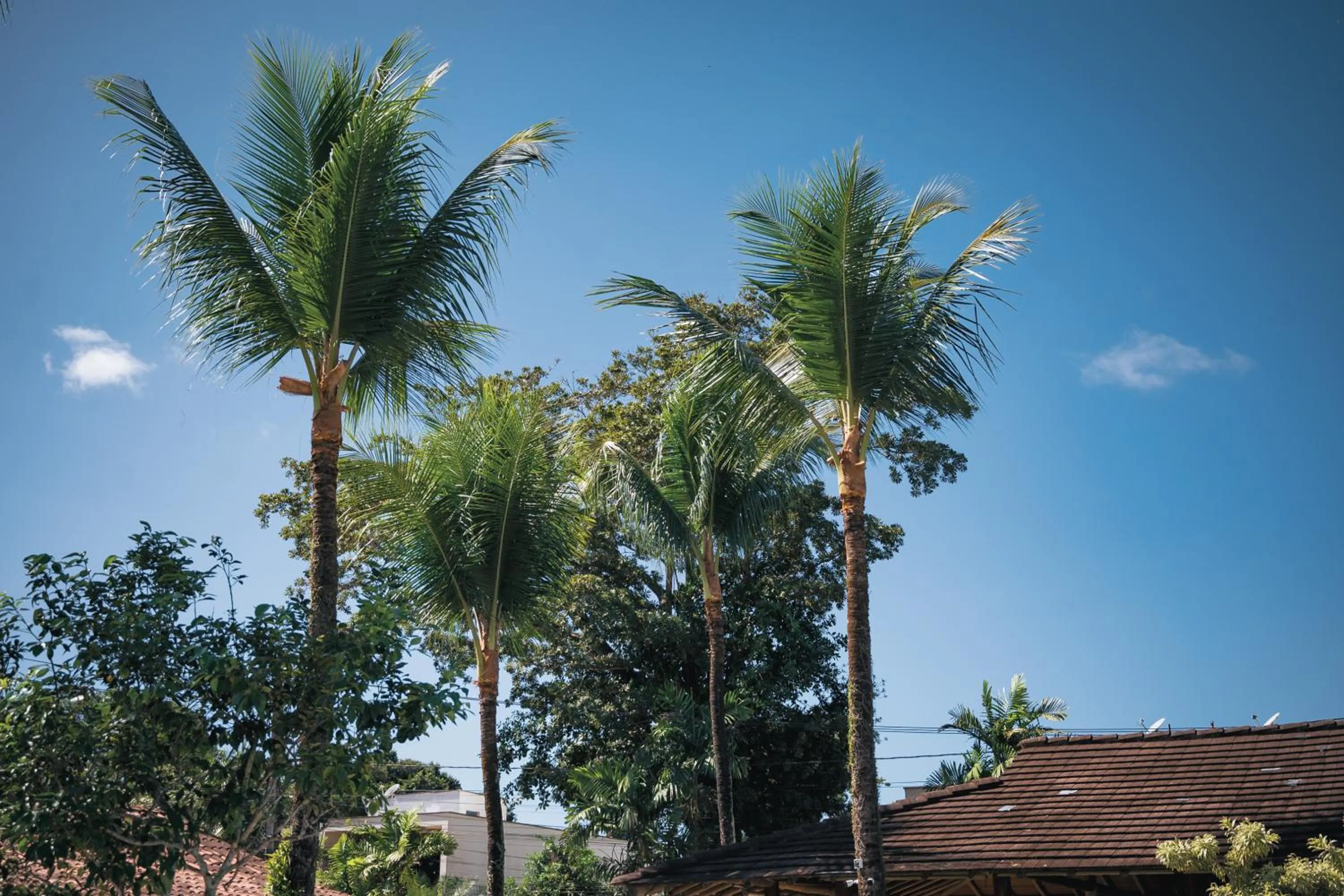 Ayla Arraial Pousada de Charme - Arraial D'Ajuda
