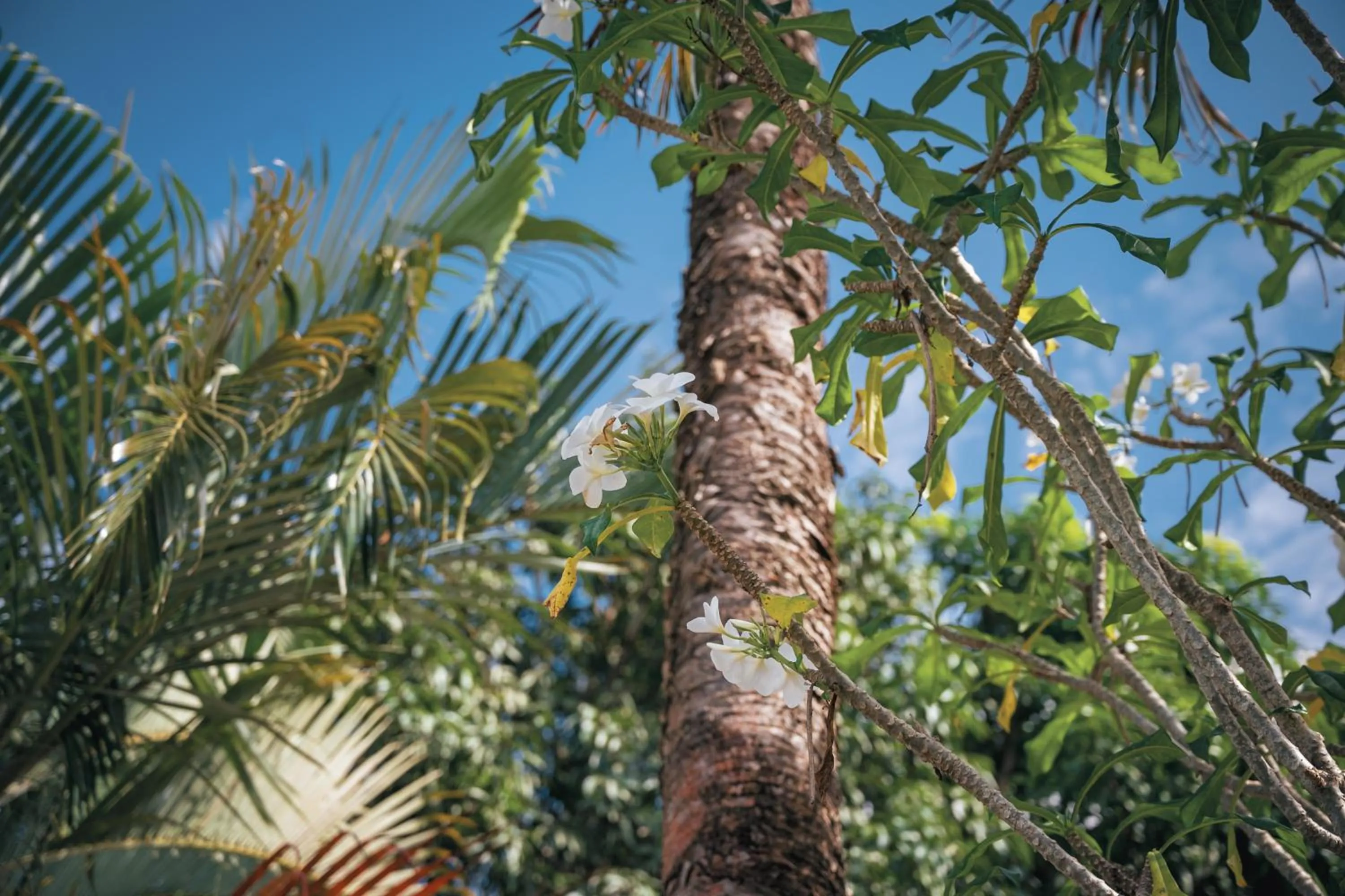 Ayla Arraial Pousada de Charme - Arraial D'Ajuda