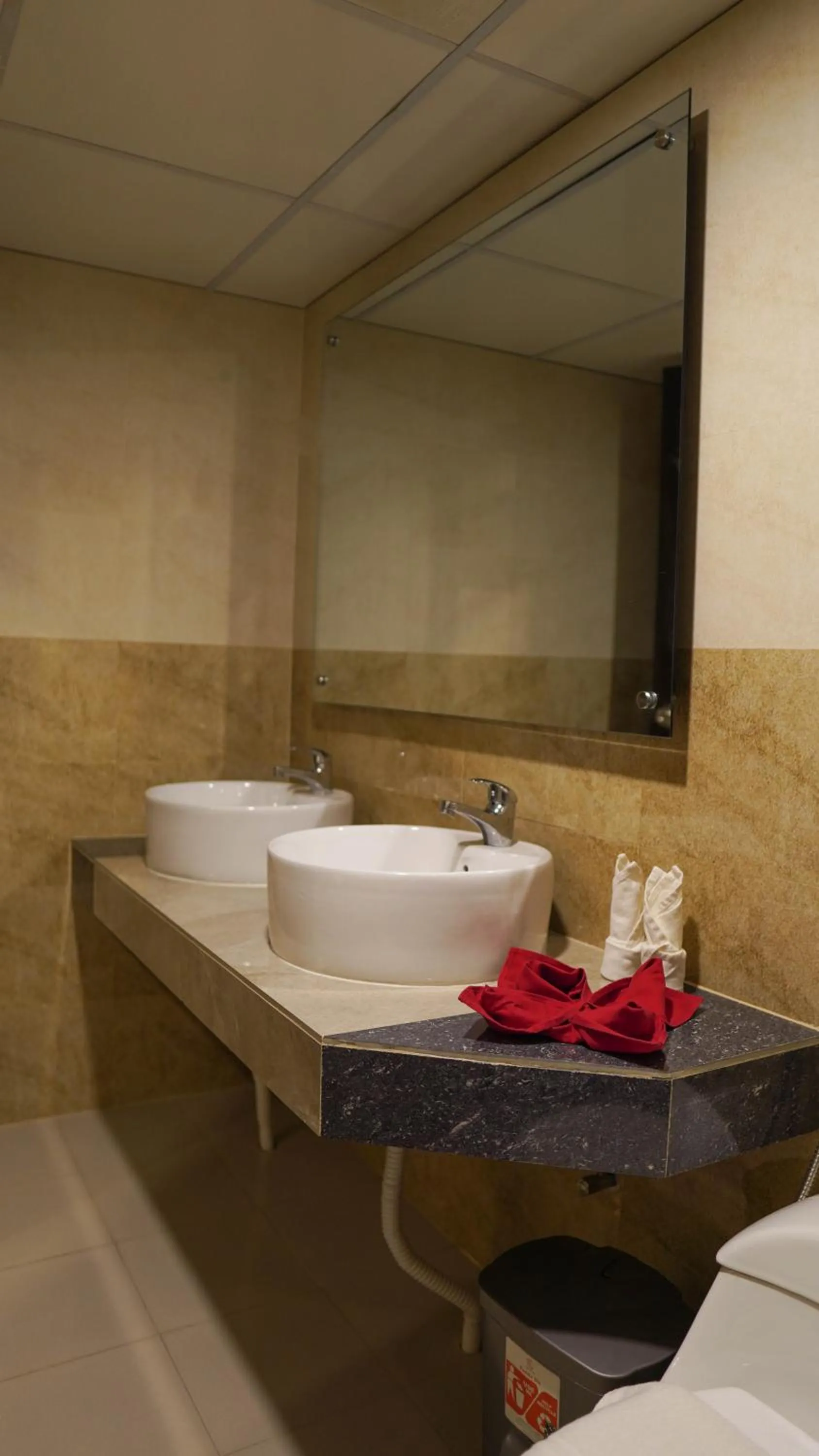 Bathroom in Grand Vistana