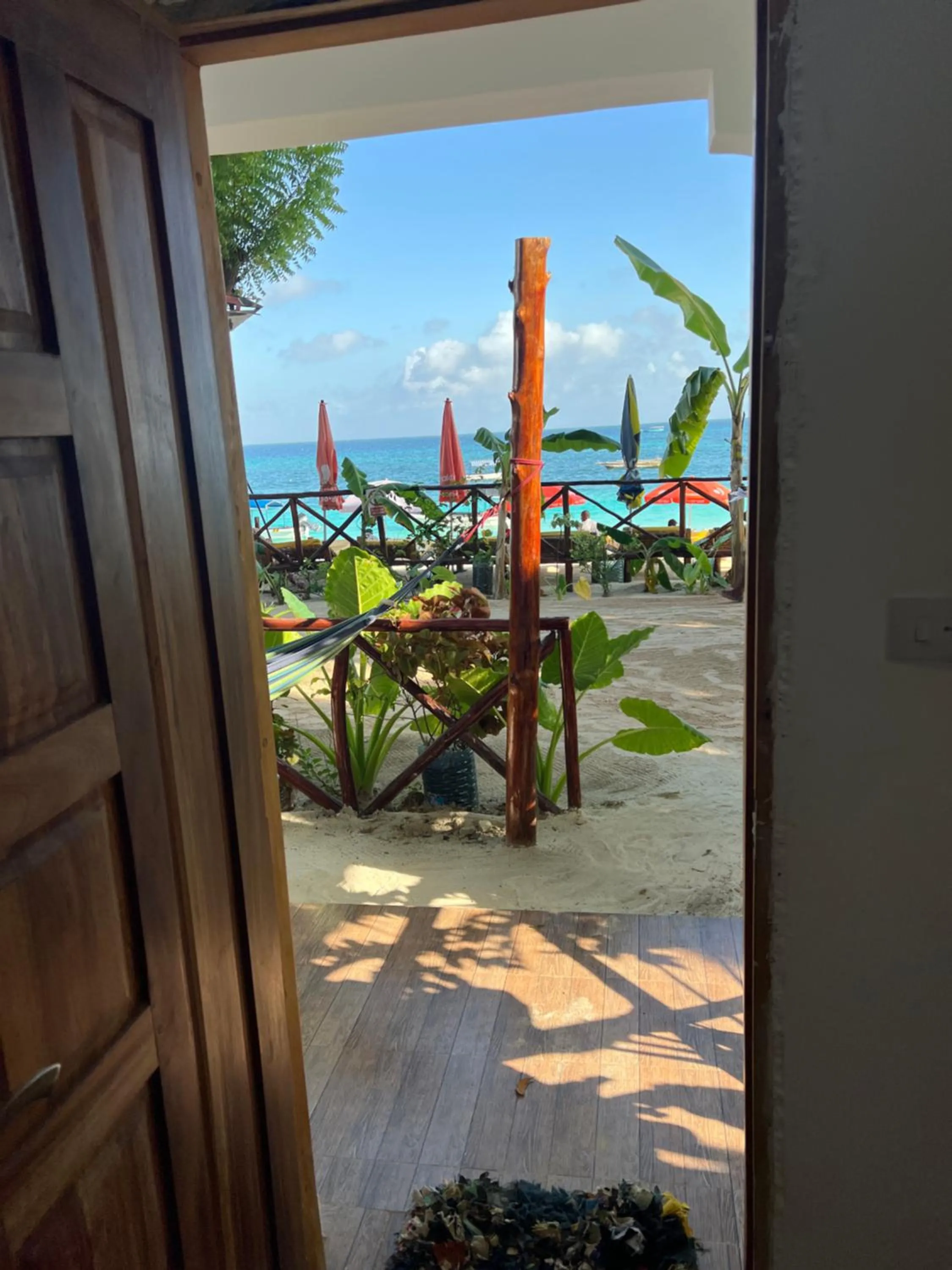 Natural landscape in Zanzi beach hotel