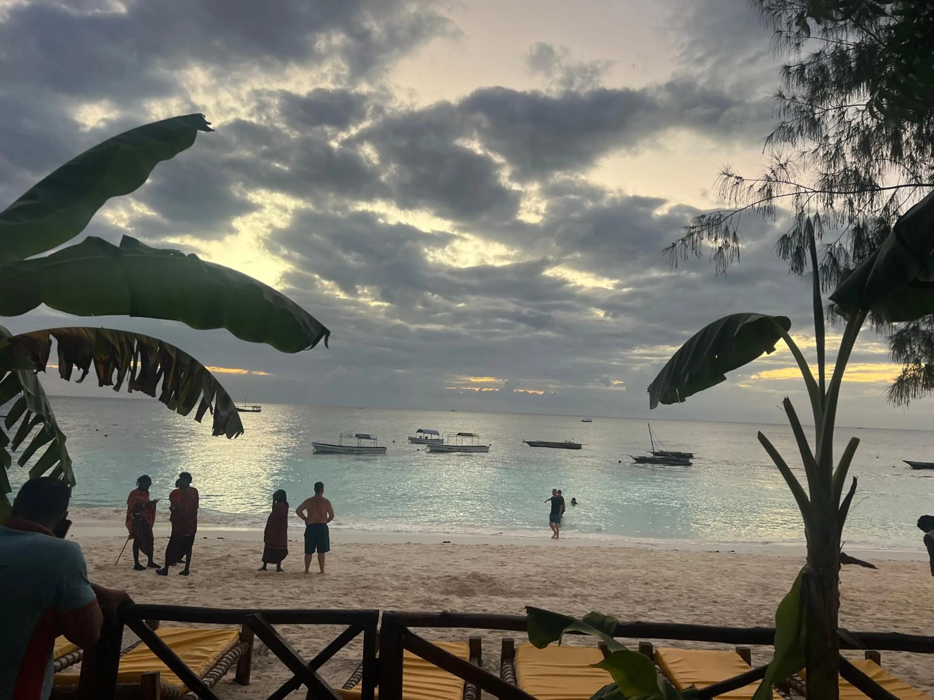 Natural landscape in Zanzi beach hotel