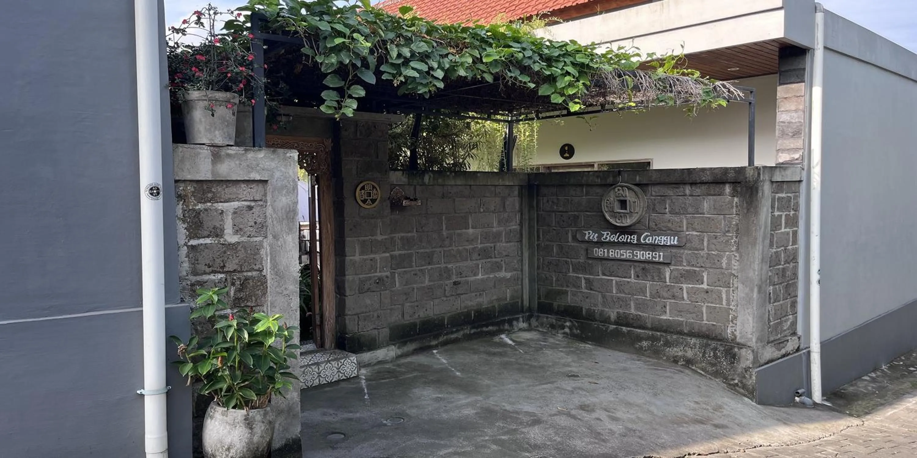 Property building in Pis Bolong Canggu