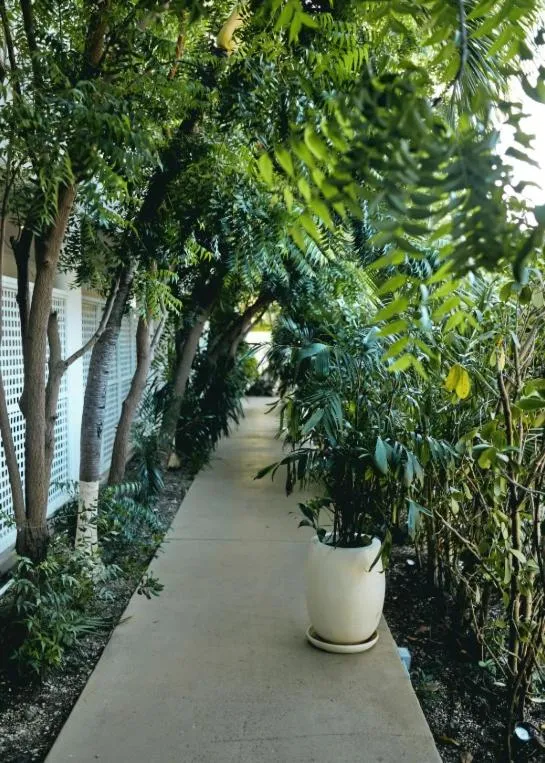 La Concha