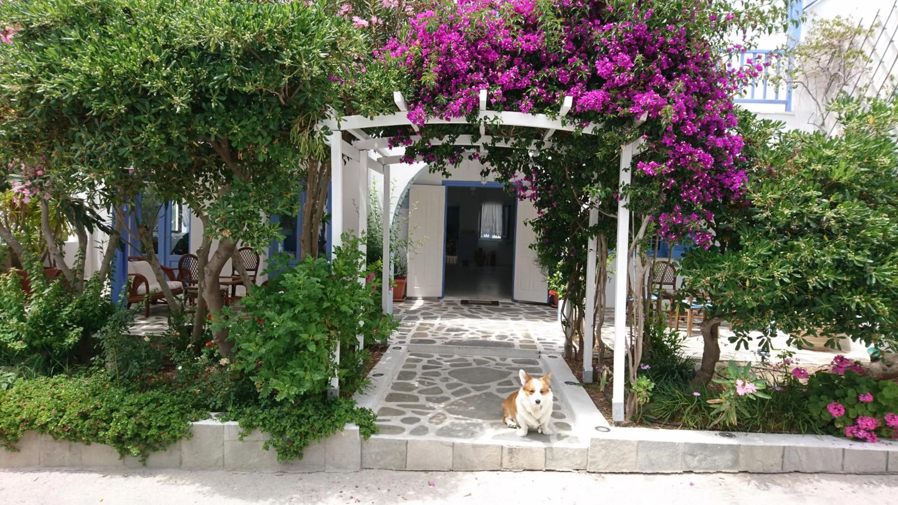 Facade/entrance in Panorama Paros