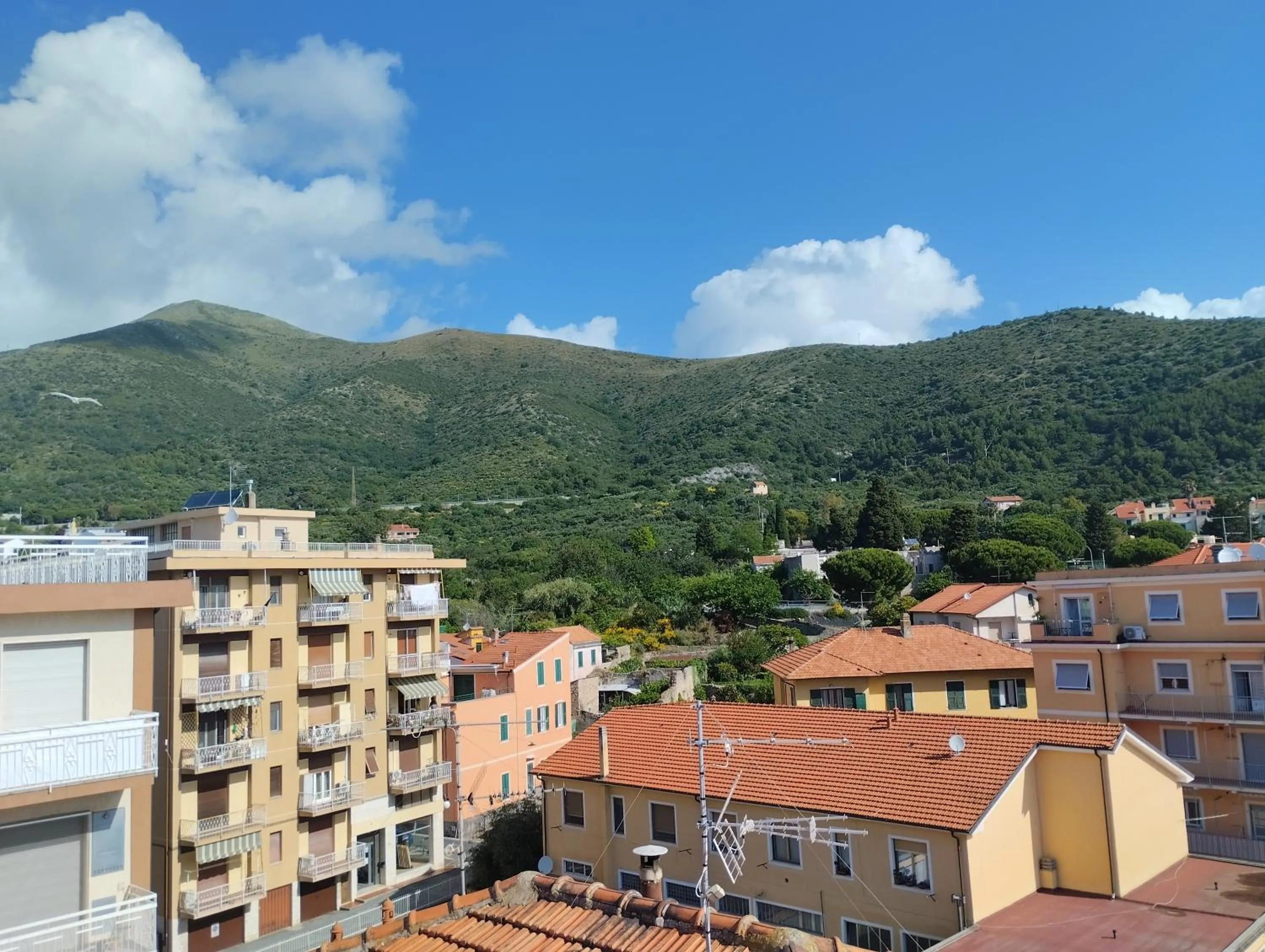 Natural landscape in Hotel Tiffany