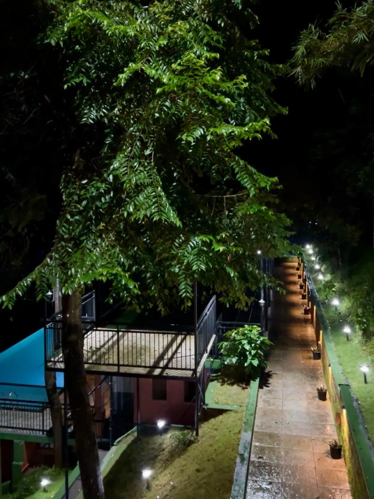 Property building in Lush Hills by Benchmark