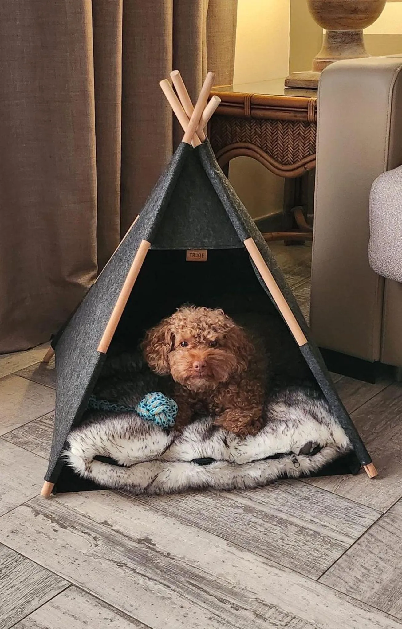 Pets in Green Garden Eco Resort & Villas