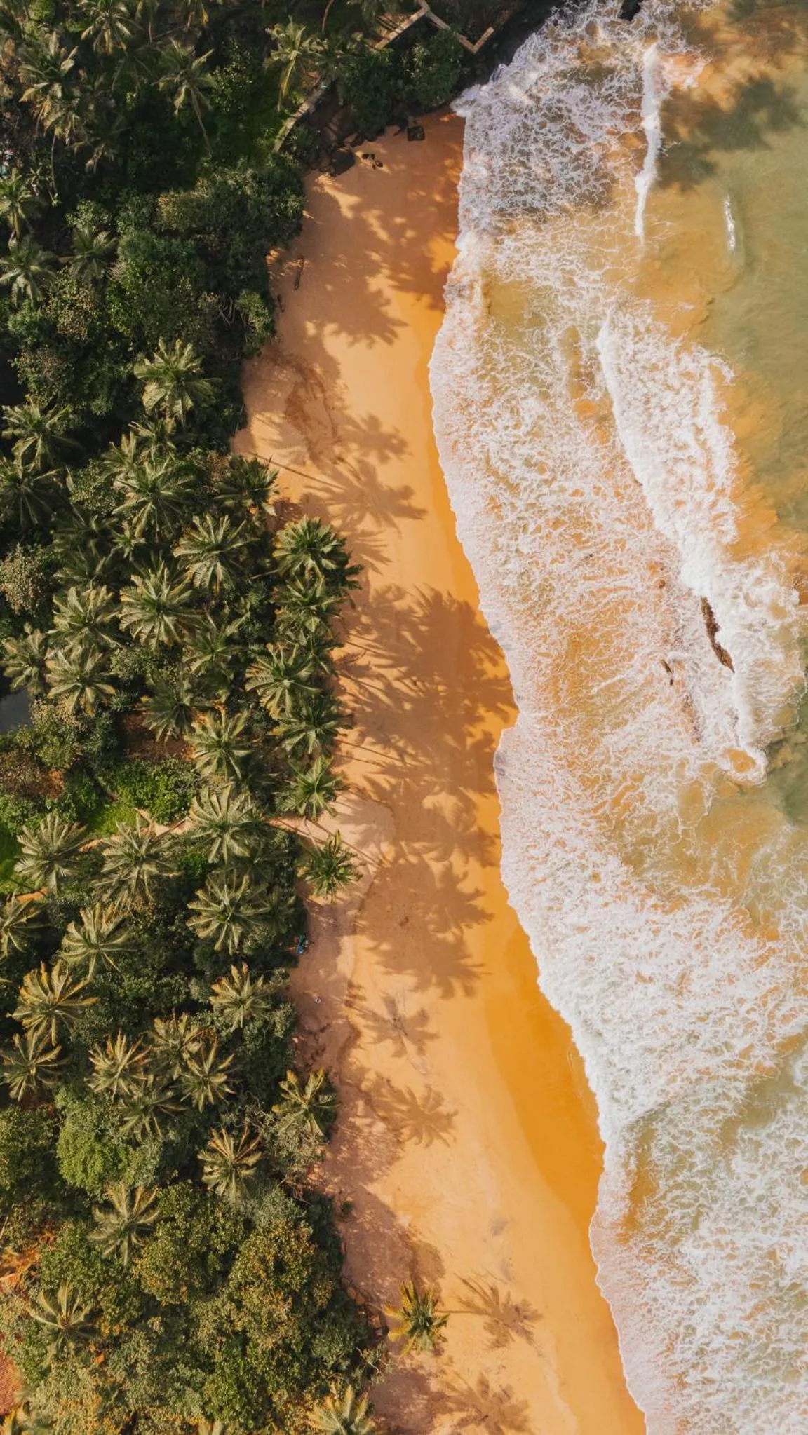 Natural landscape in Sama Retreats - Kosgoda