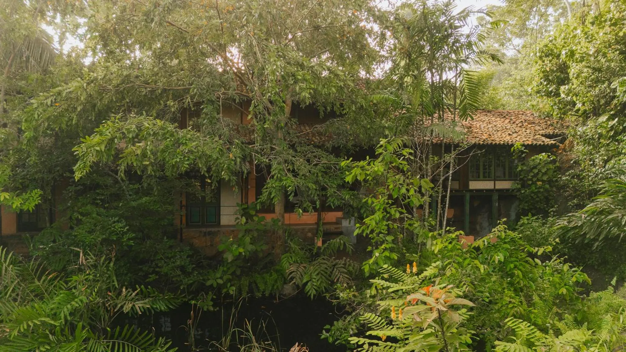 View (from property/room) in Sama Retreats - Kosgoda