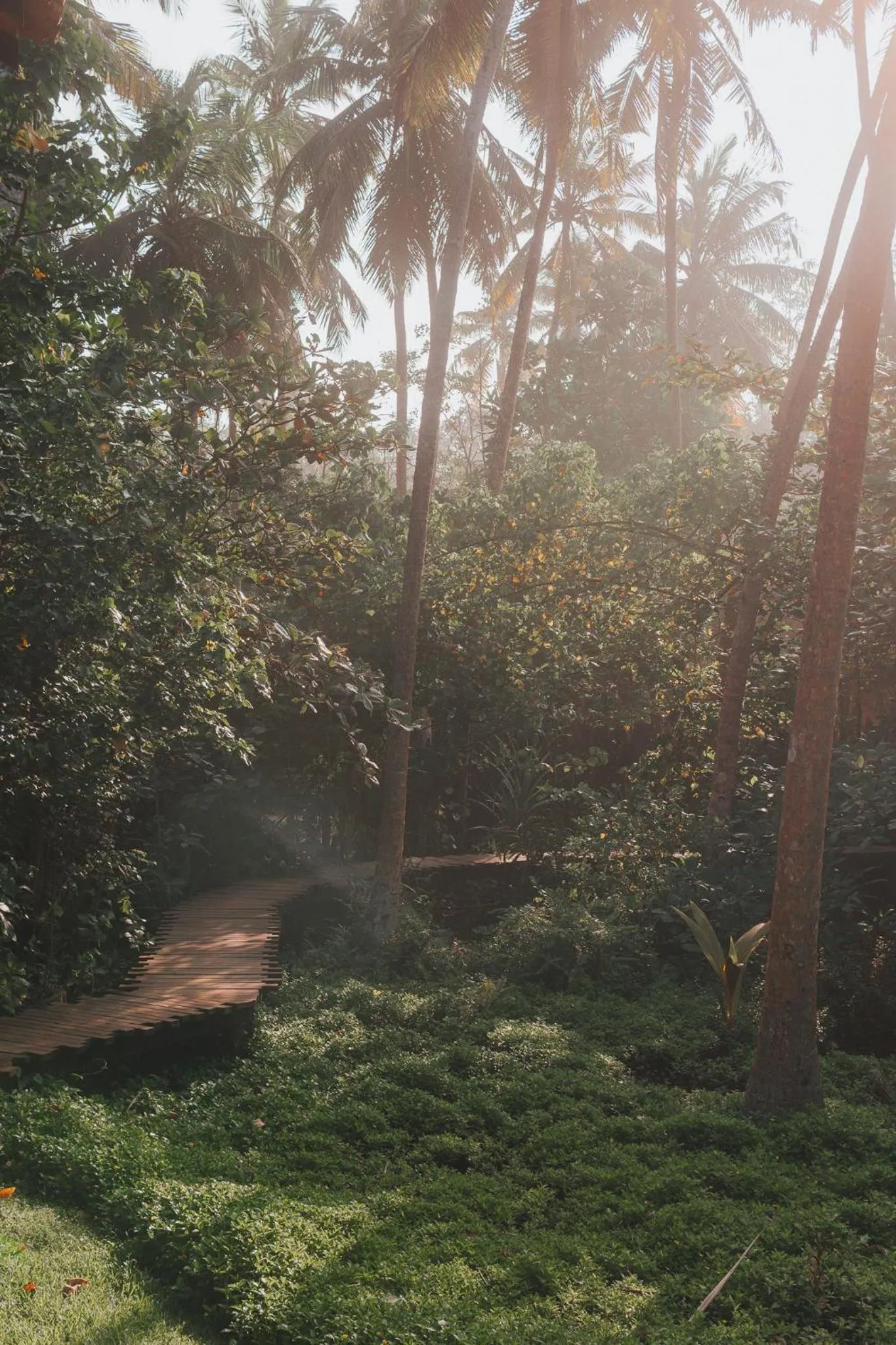 Garden in Sama Retreats - Kosgoda