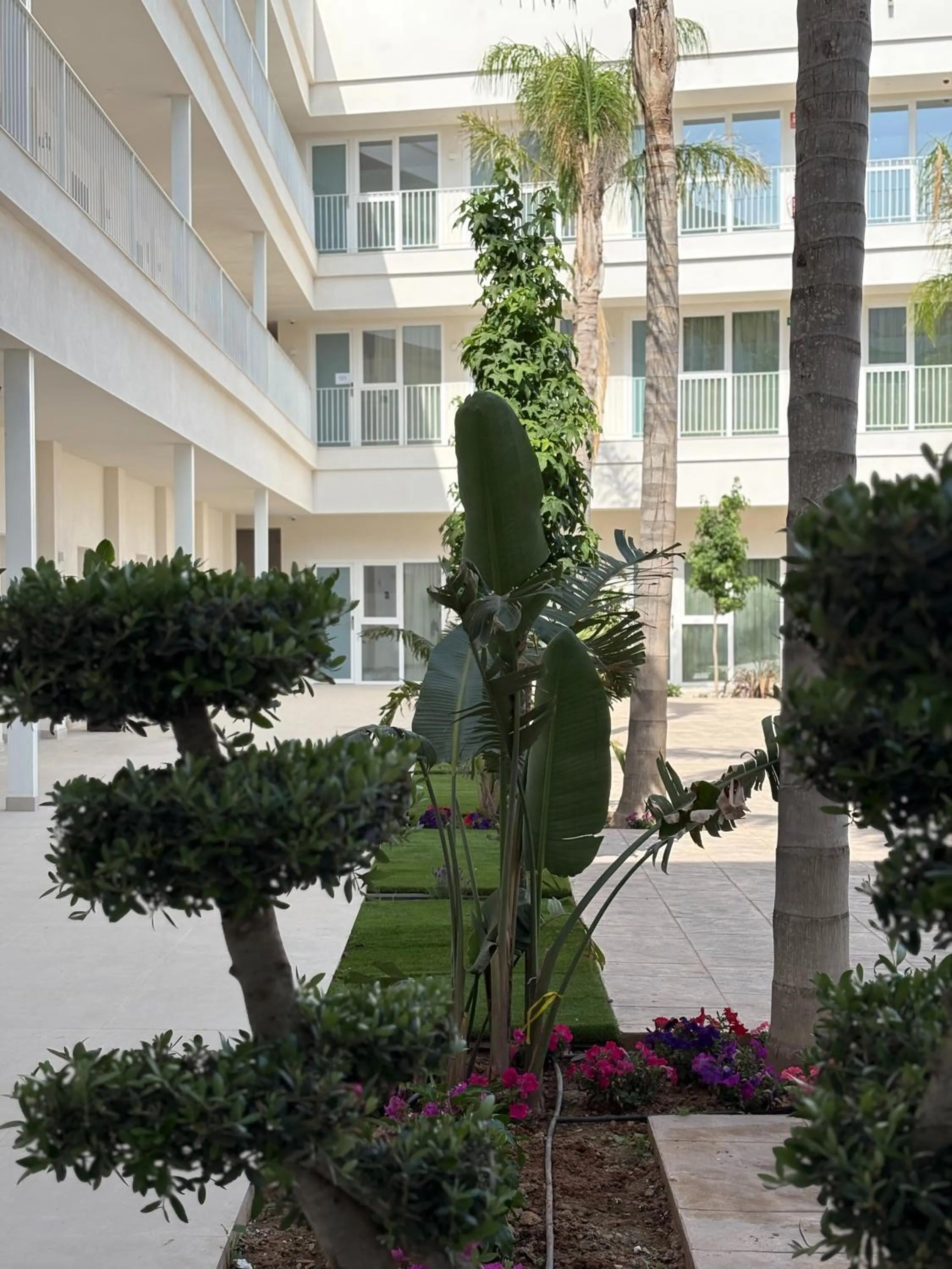 Day in SH Campus Lyceum