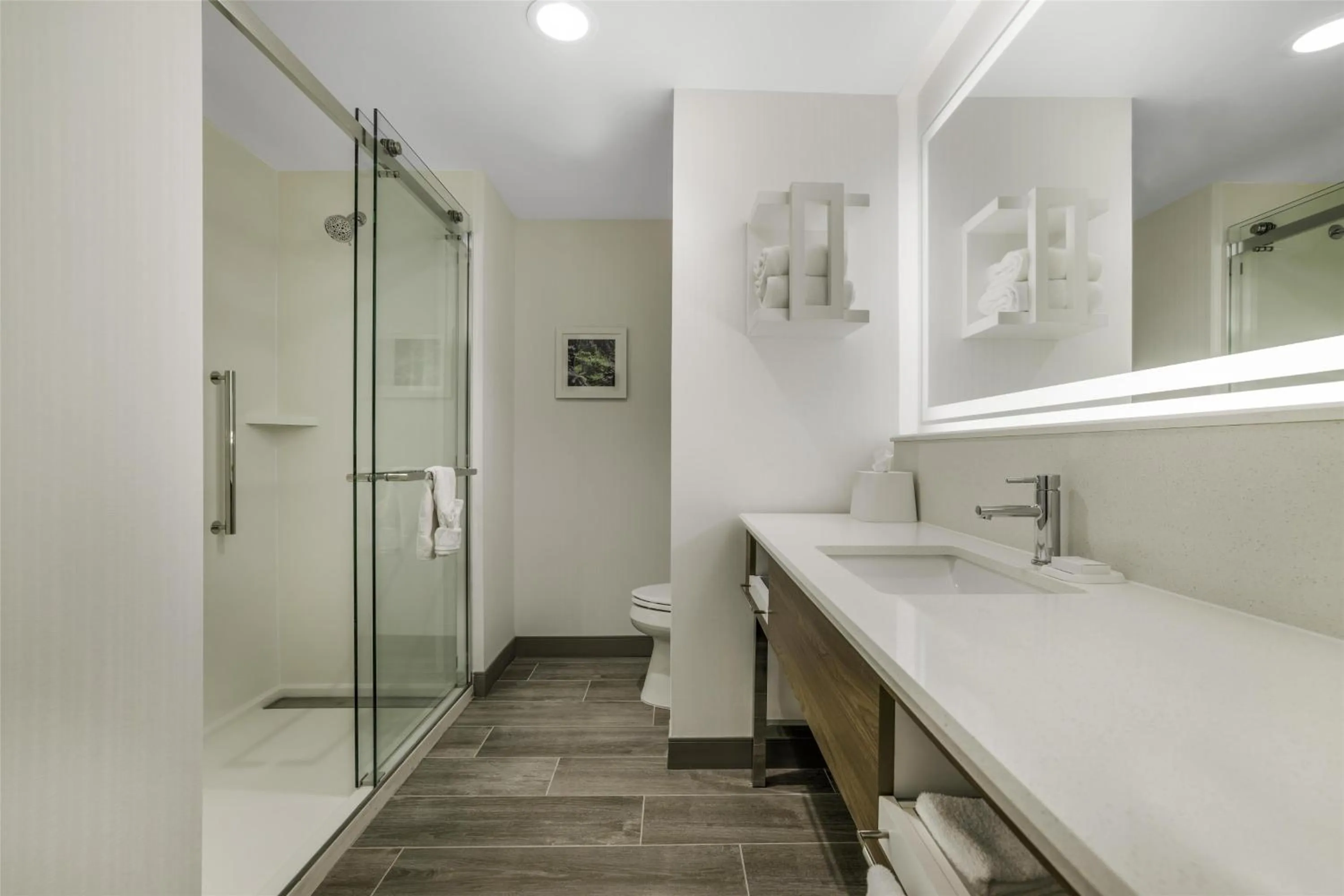 Bathroom in Hampton Inn Aurora Medical Center Denver