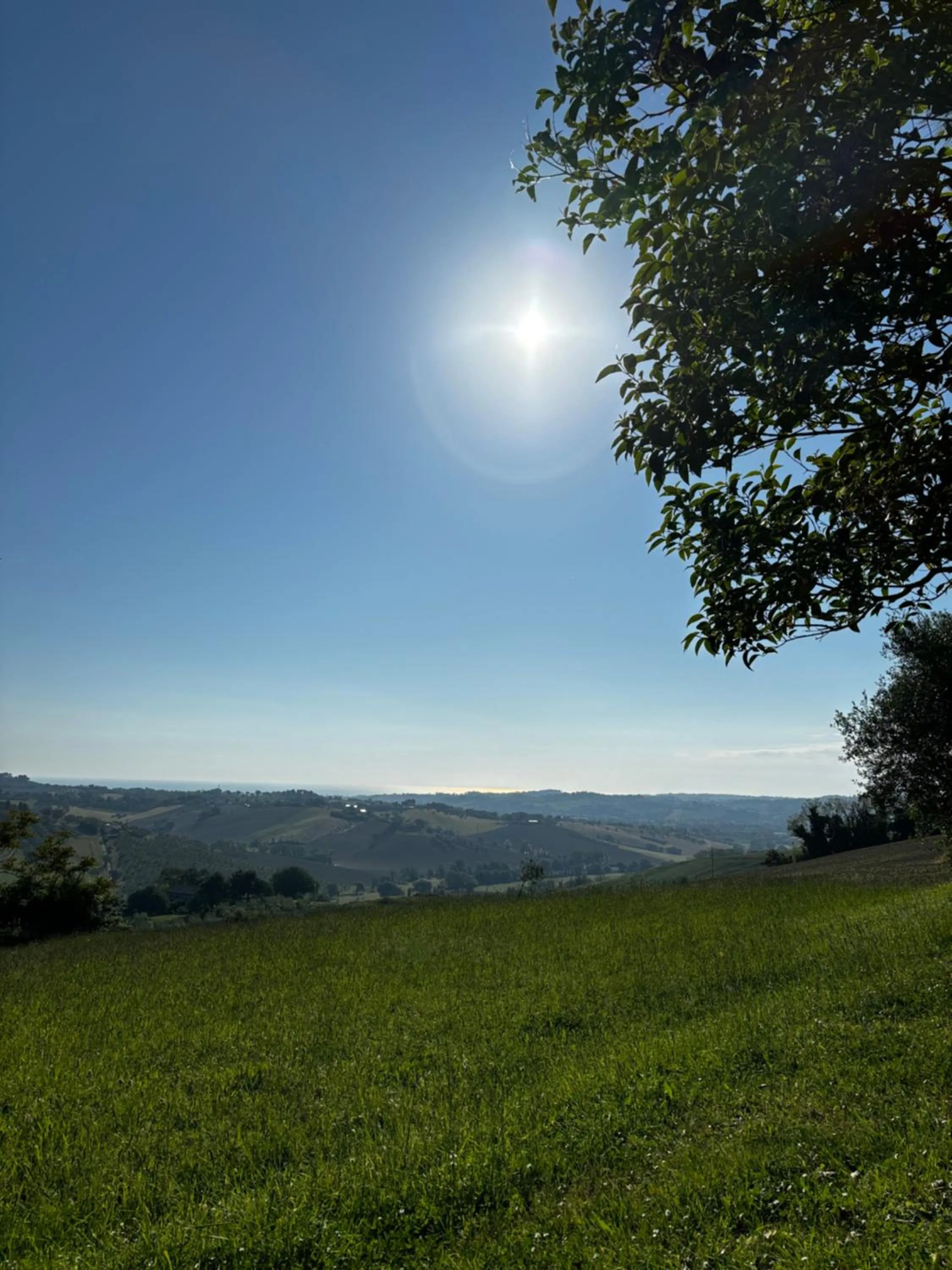 Spring in Casa Felice