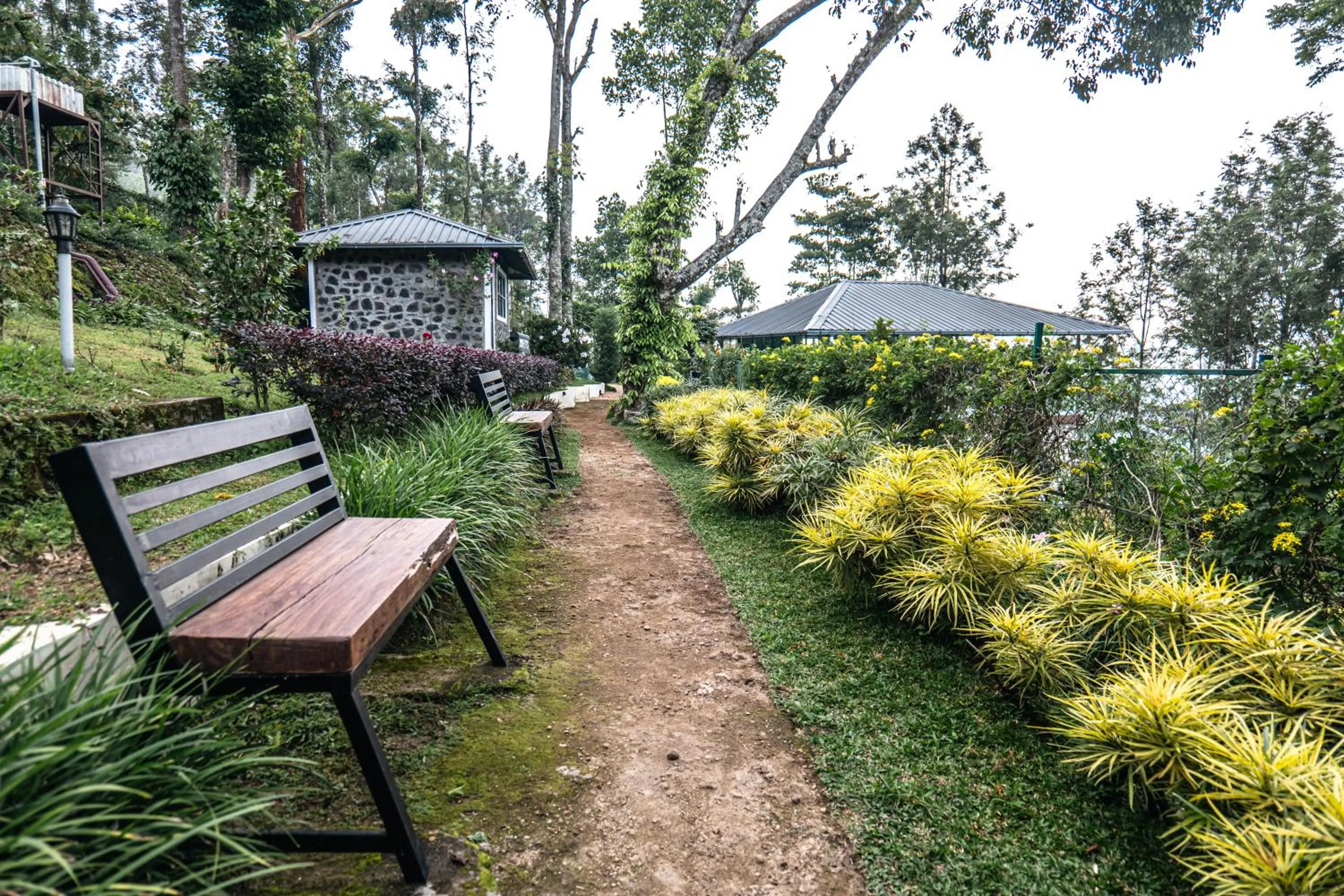 Hilltop Munnar by Fracspace