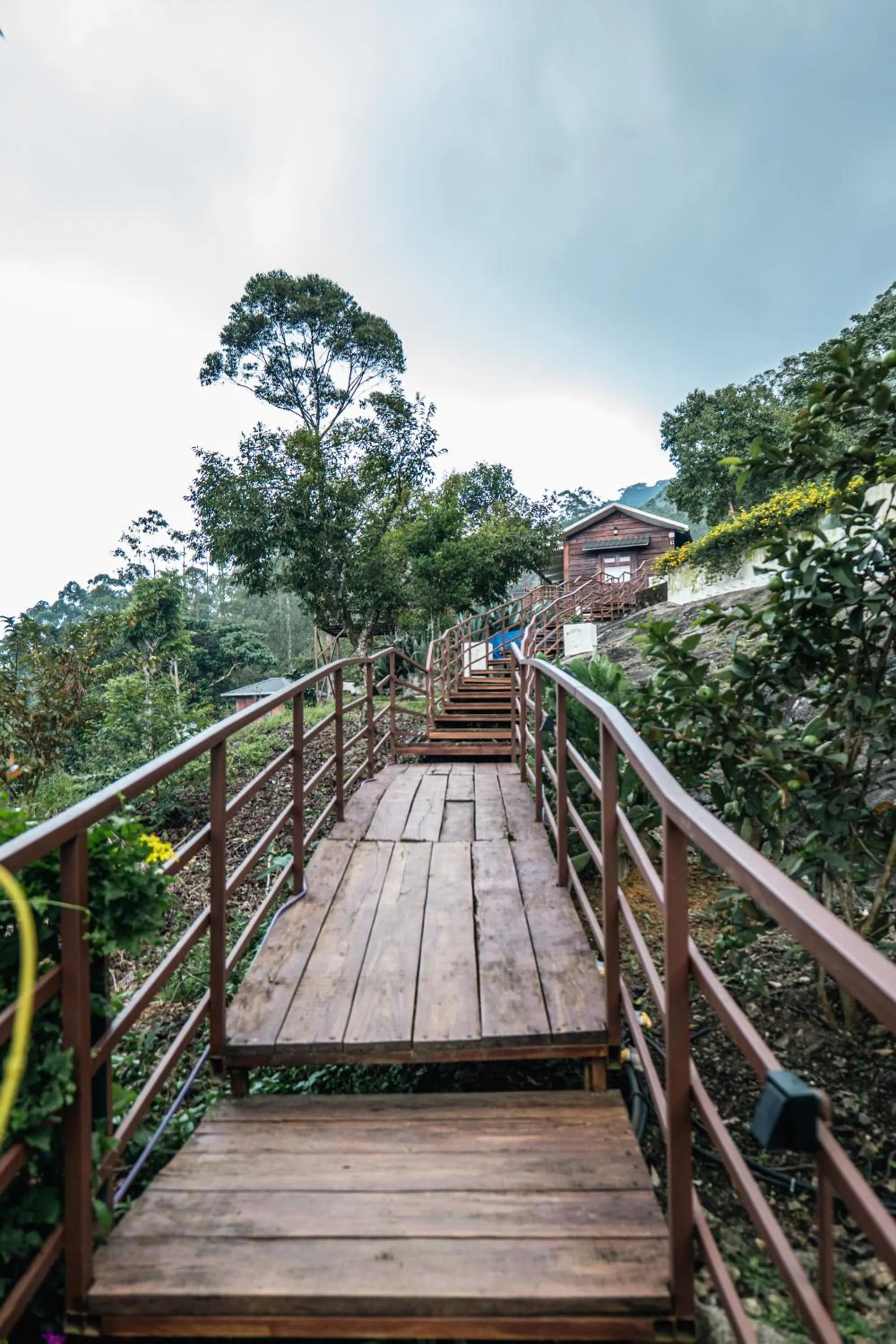 Hilltop Munnar by Fracspace